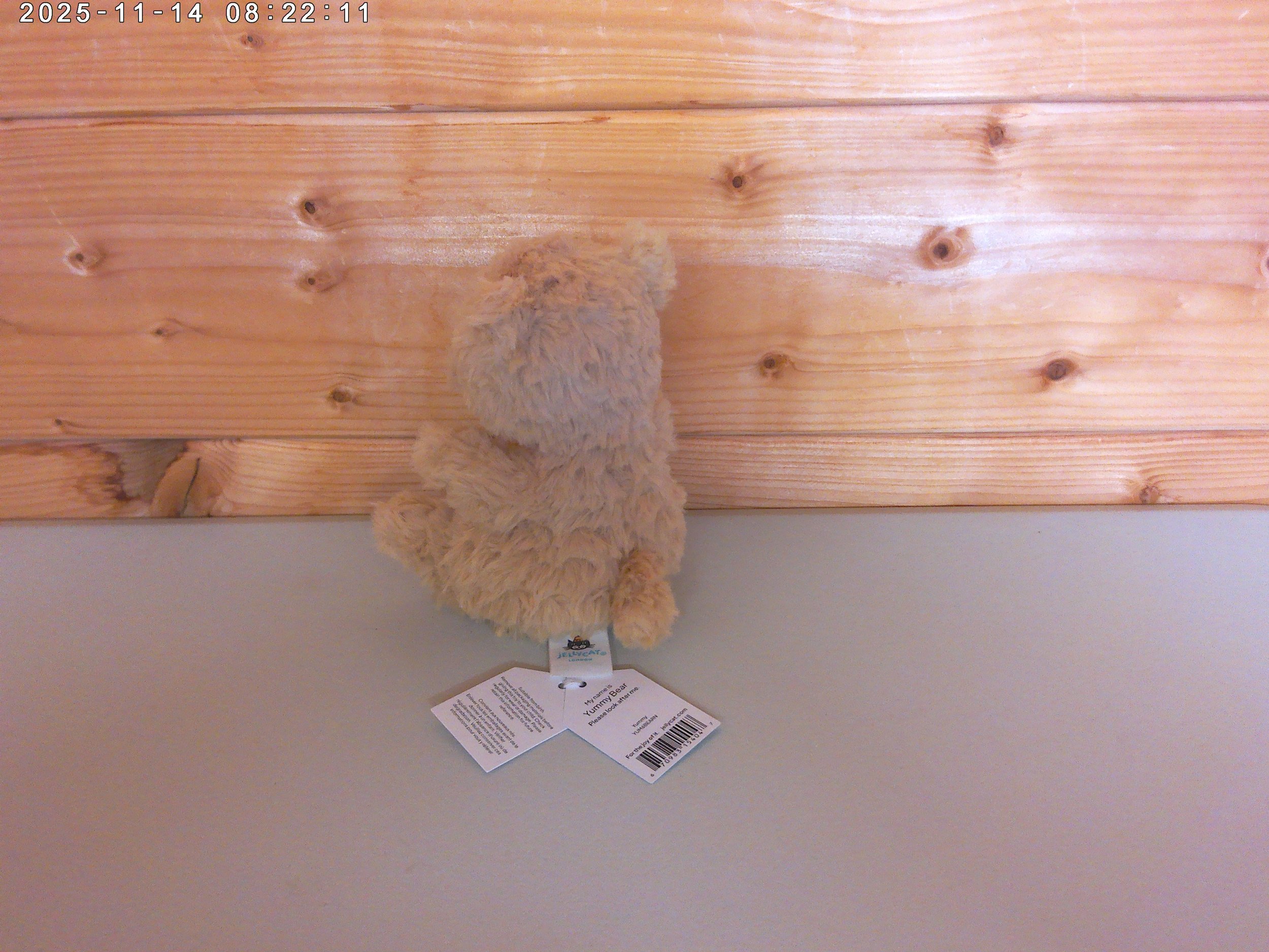 Yummy bear - photo 2.jpg