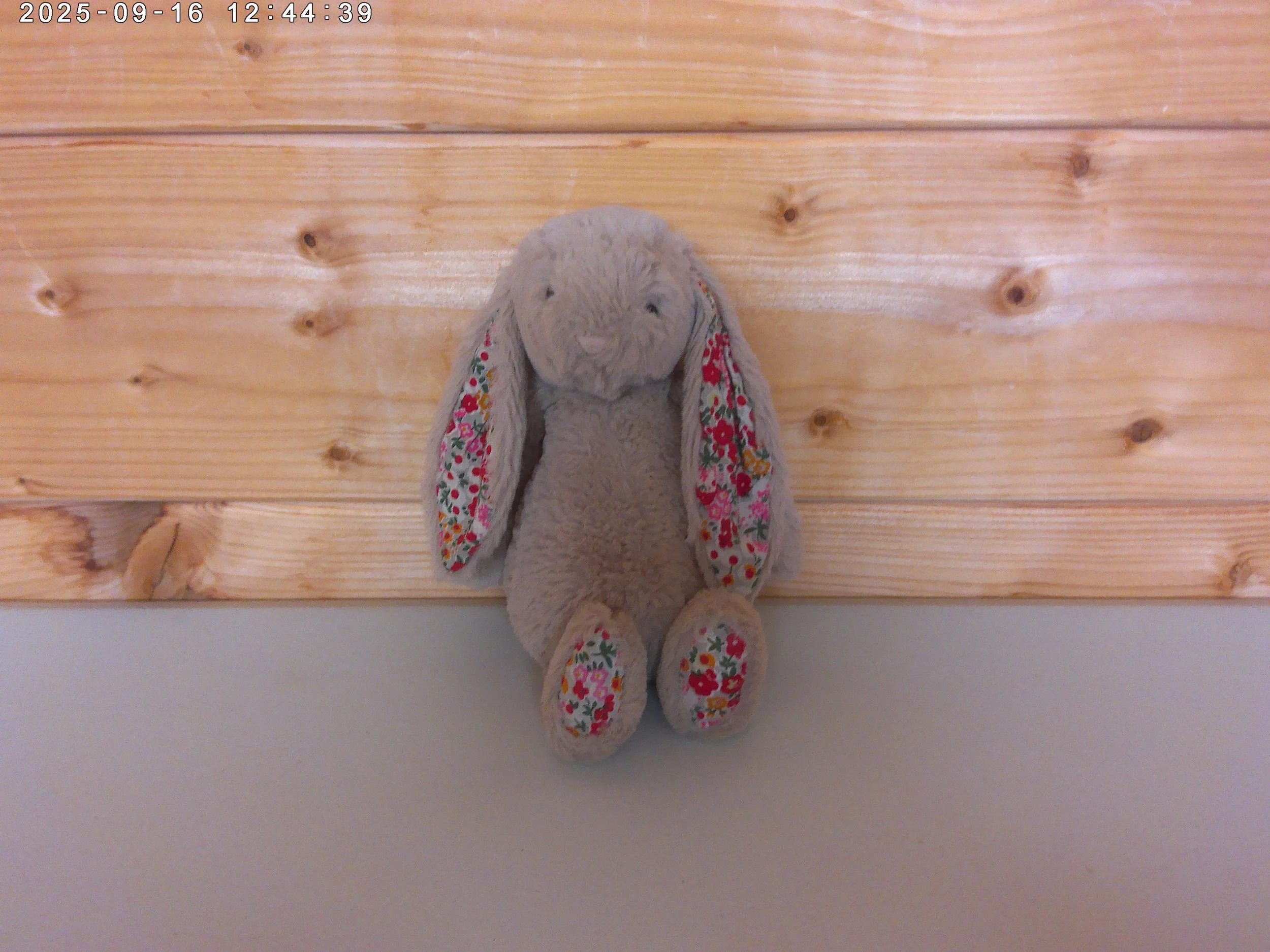 Posy blossom bunny - photo 1.jpg