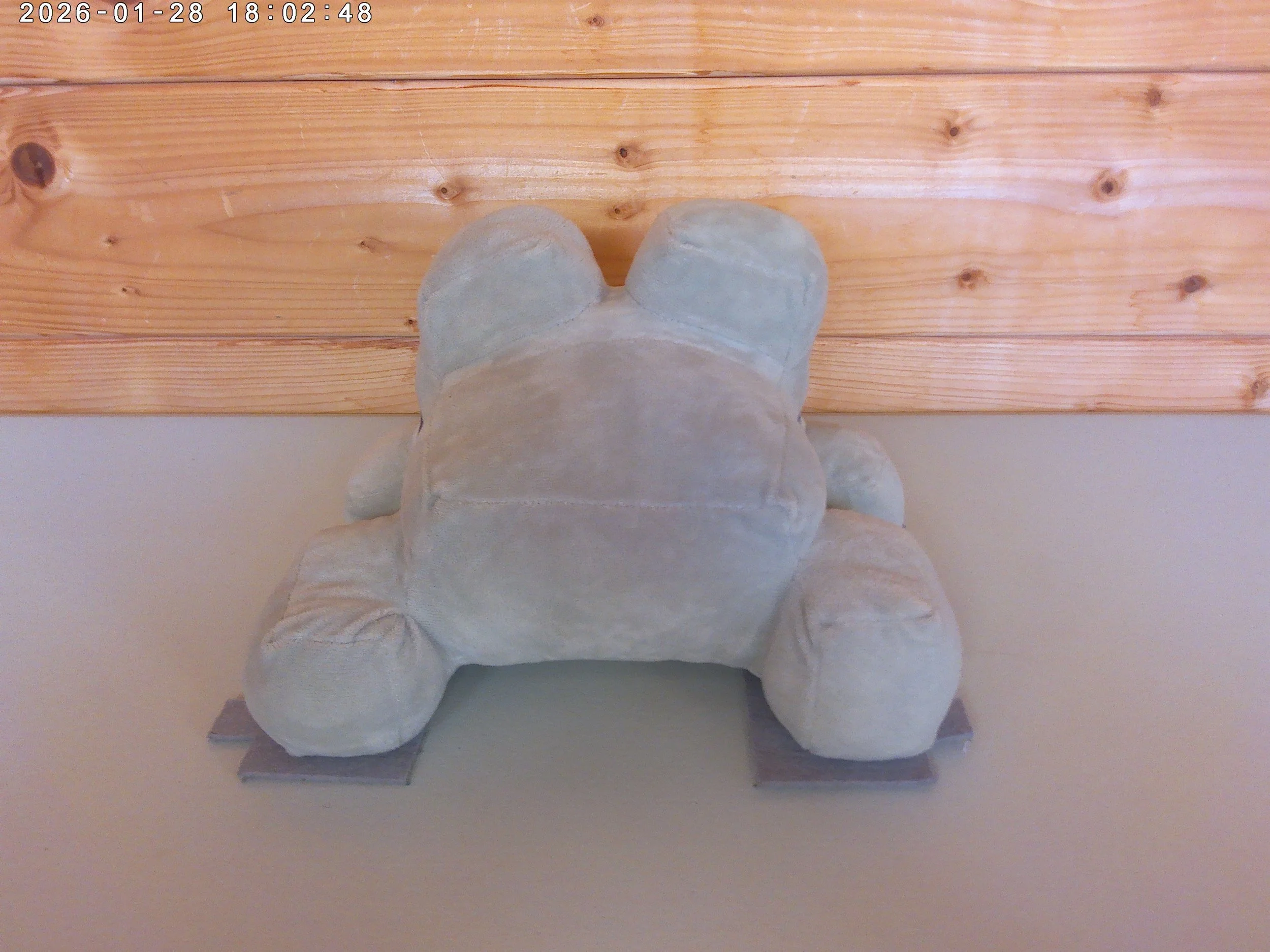 Frog Grey - photo 2.jpg
