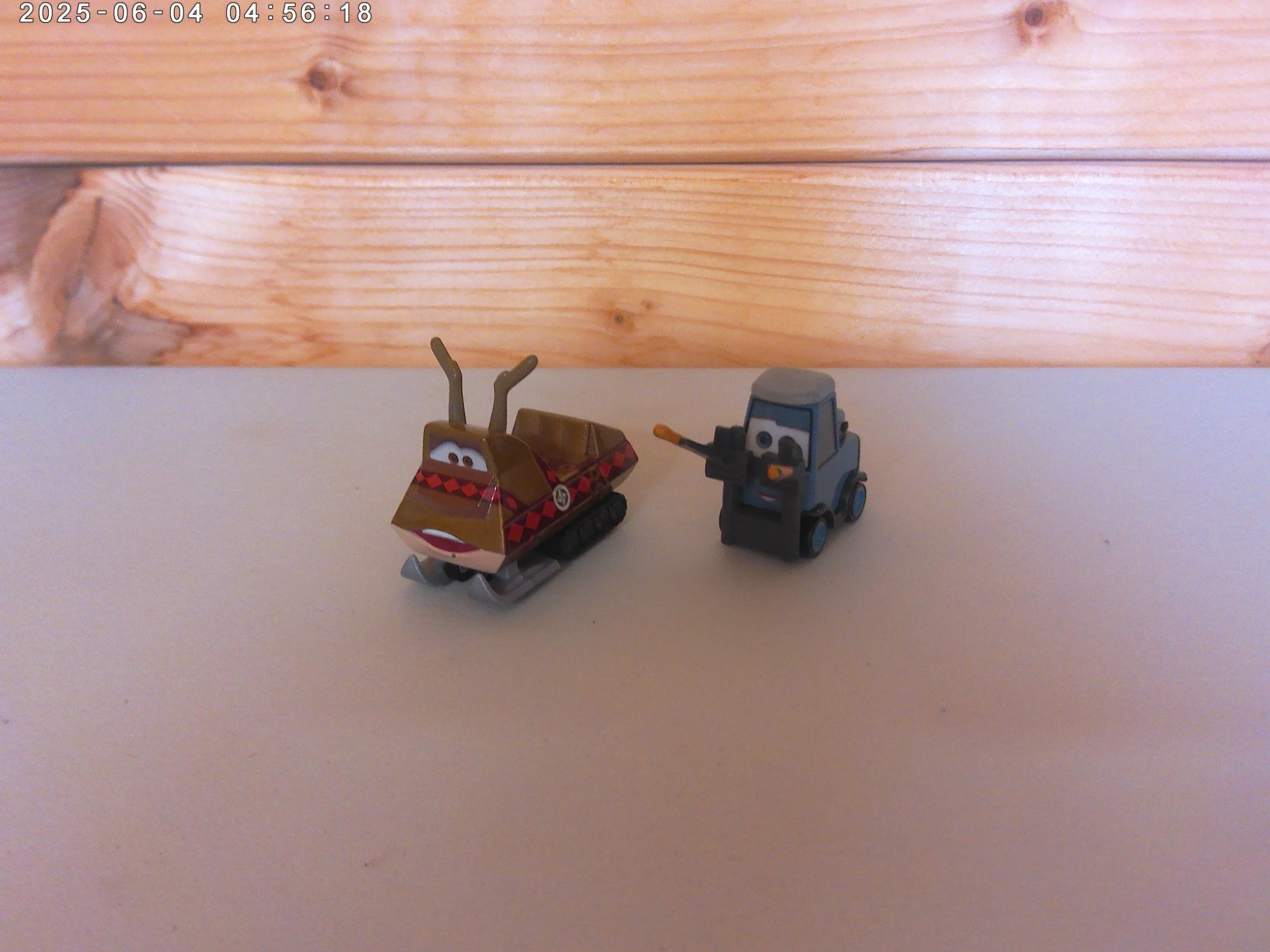 Pam & snowmobile - photo 1.jpg