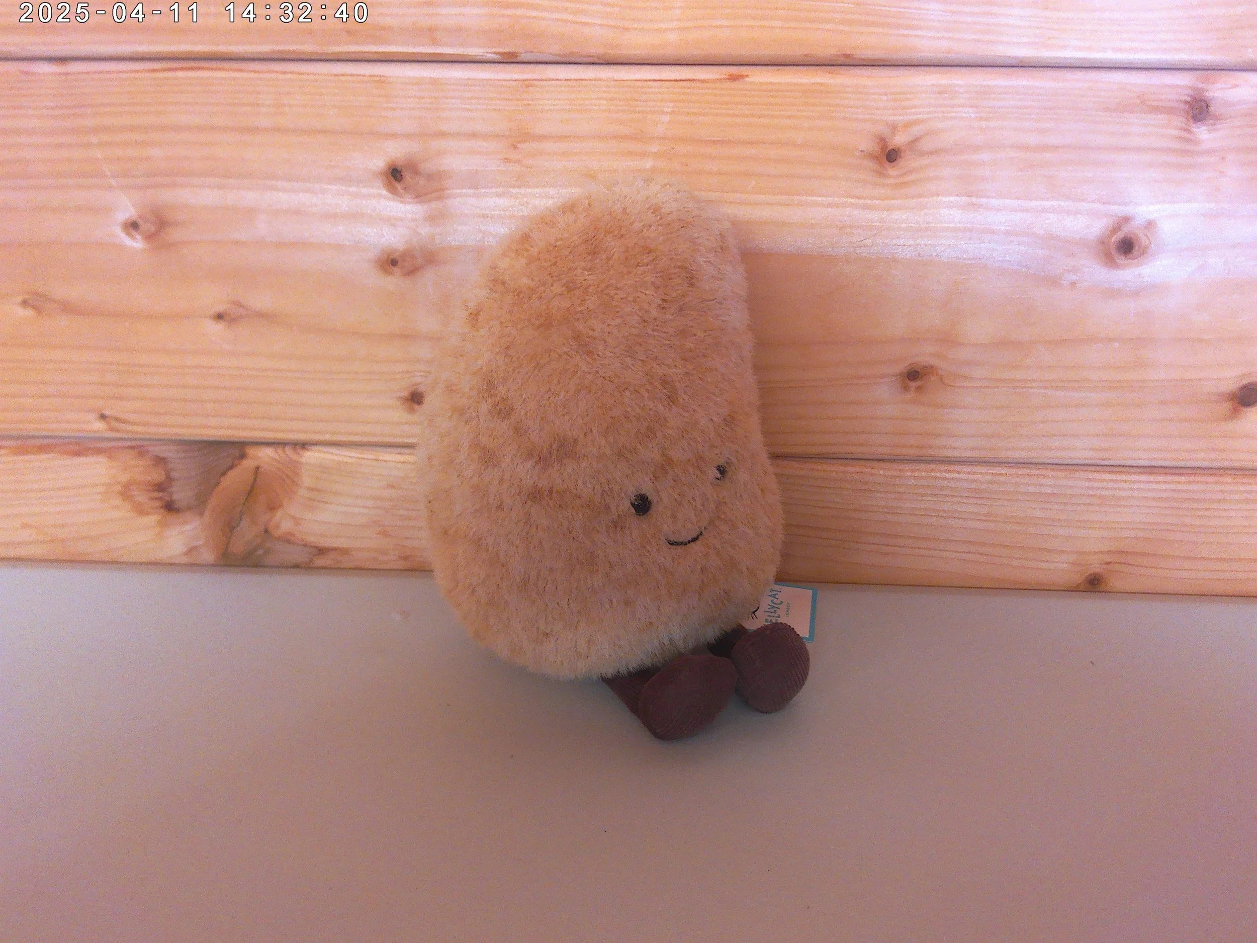 Potato - photo 3.jpg