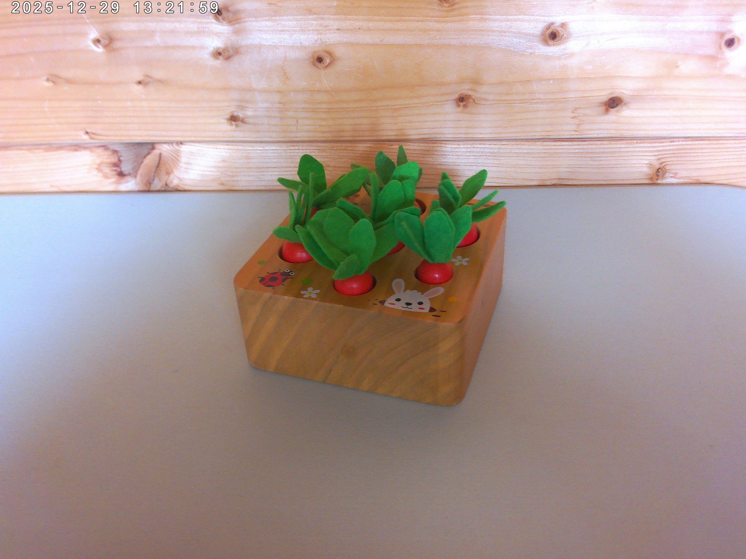 carrot shape sorter - photo 1.jpg
