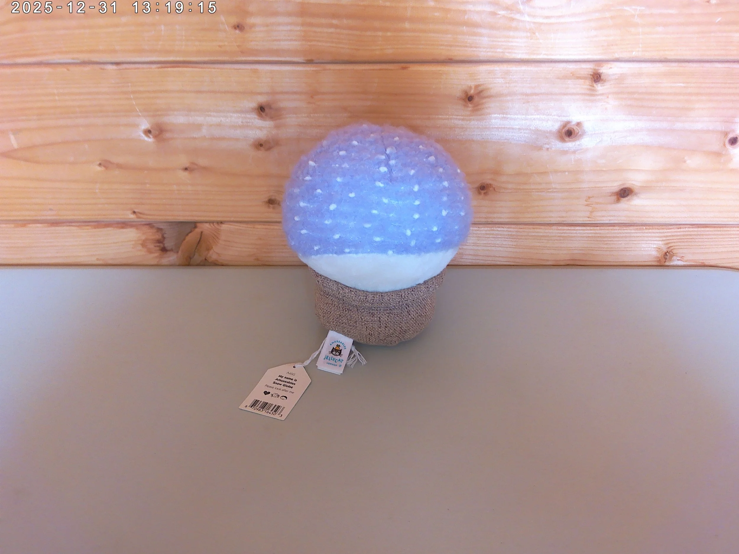 Snowglobe - photo 2.jpg