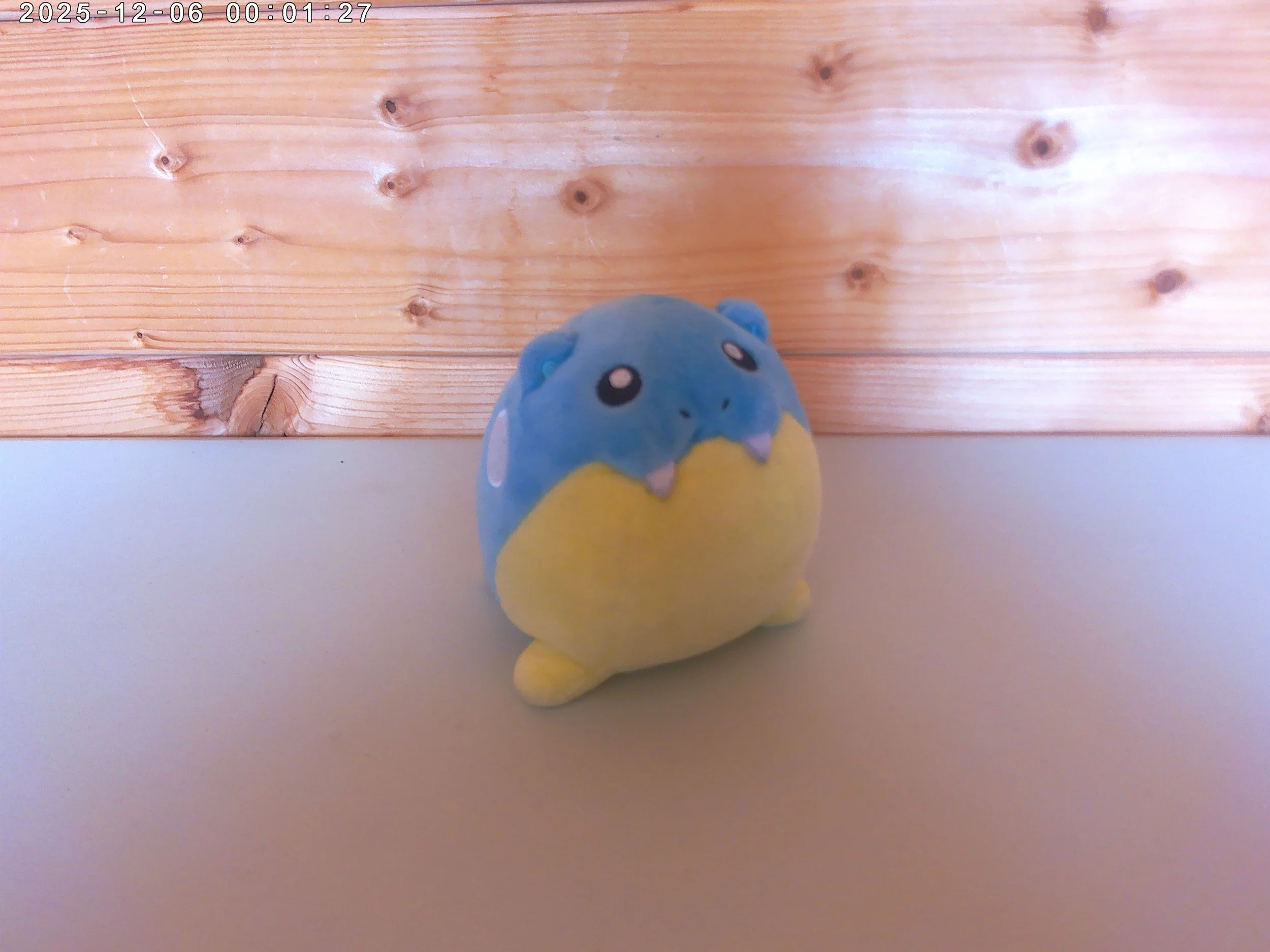 Spheal - photo 4.jpg