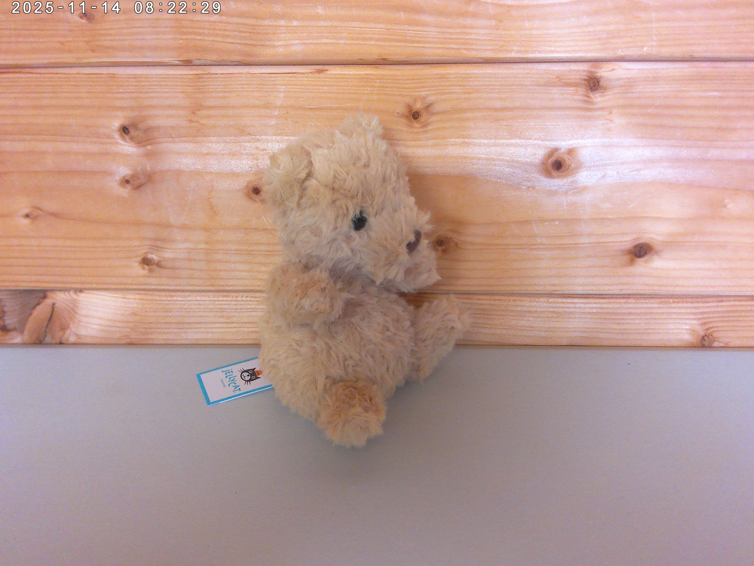 Yummy bear - photo 3.jpg