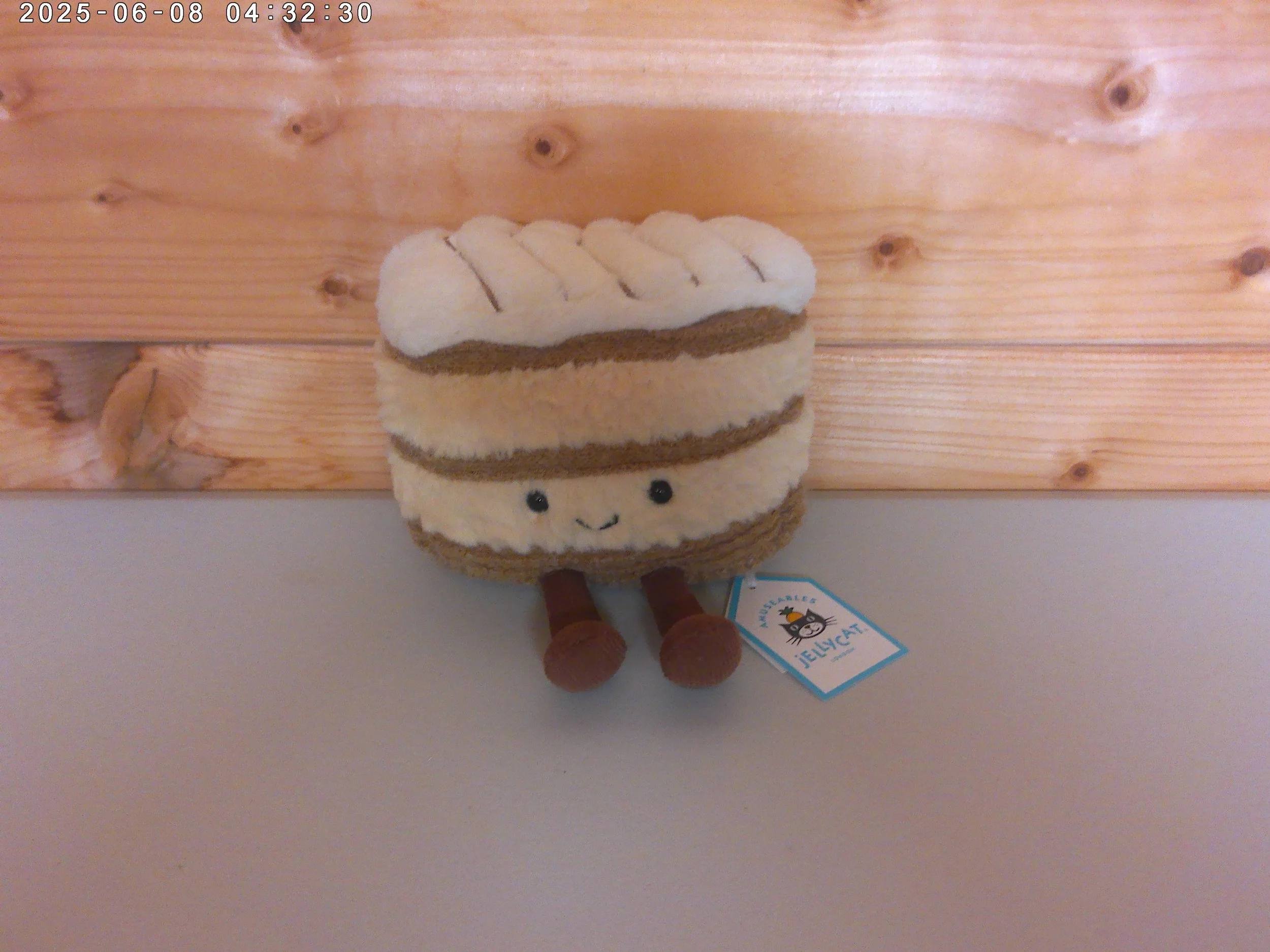 Millie - photo 1.jpg