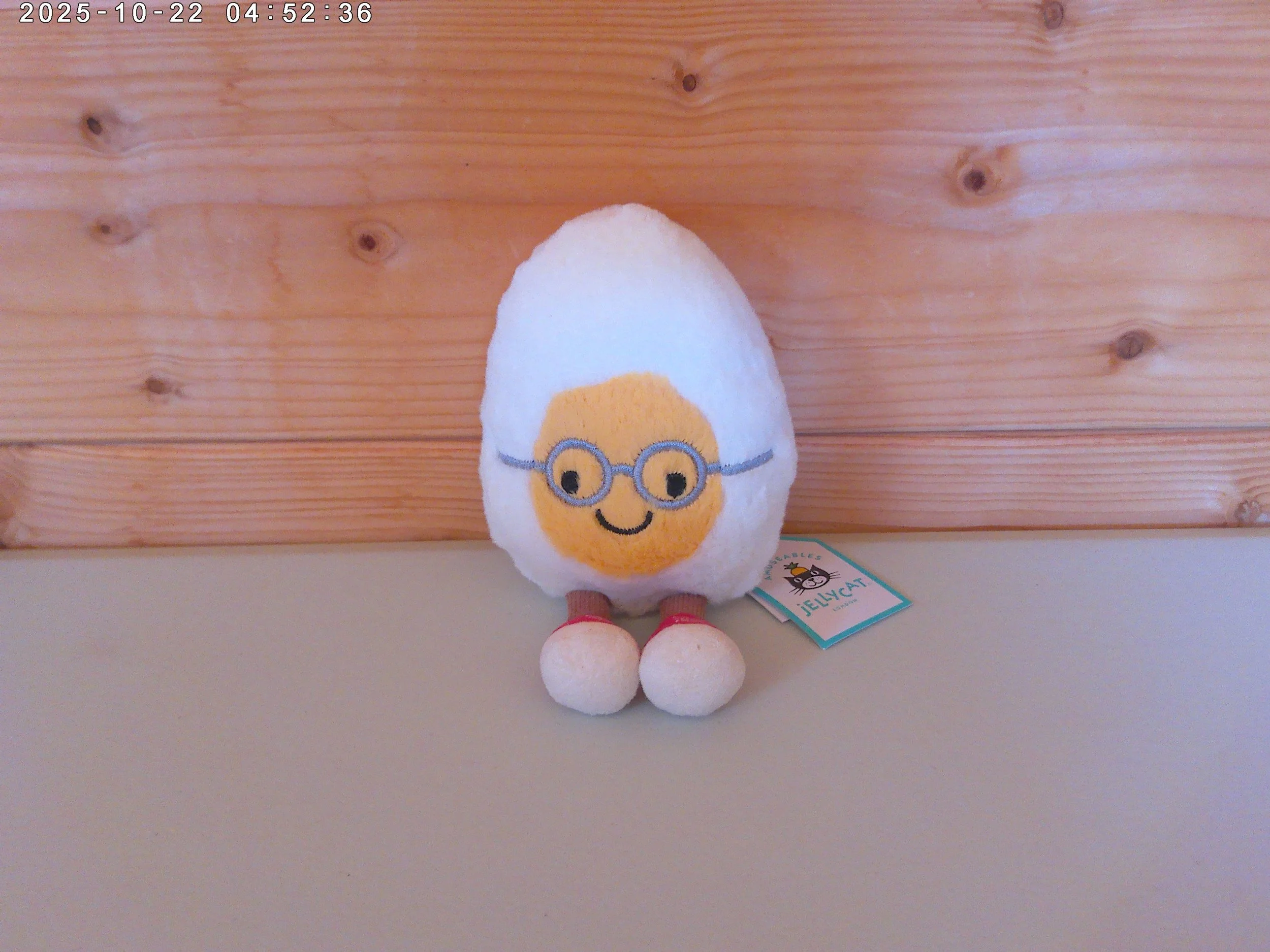 Geek egg - photo 1.jpg