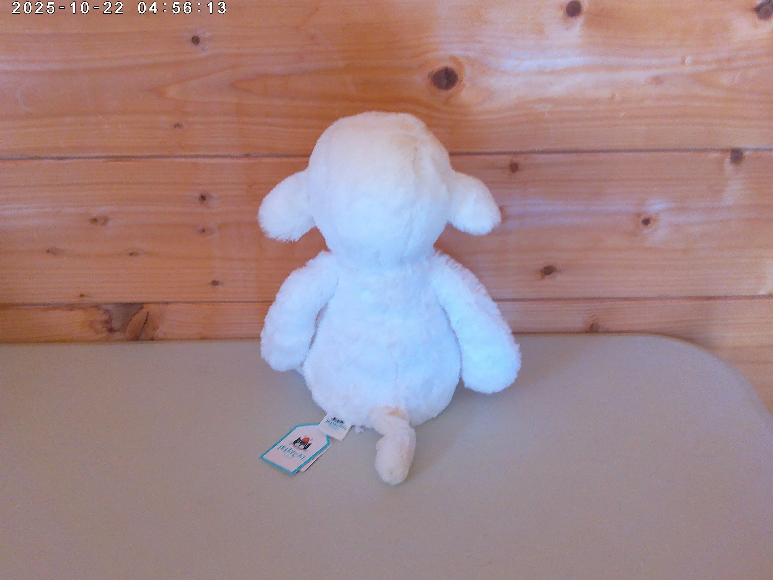 Skipson Lamb - photo 3.jpg