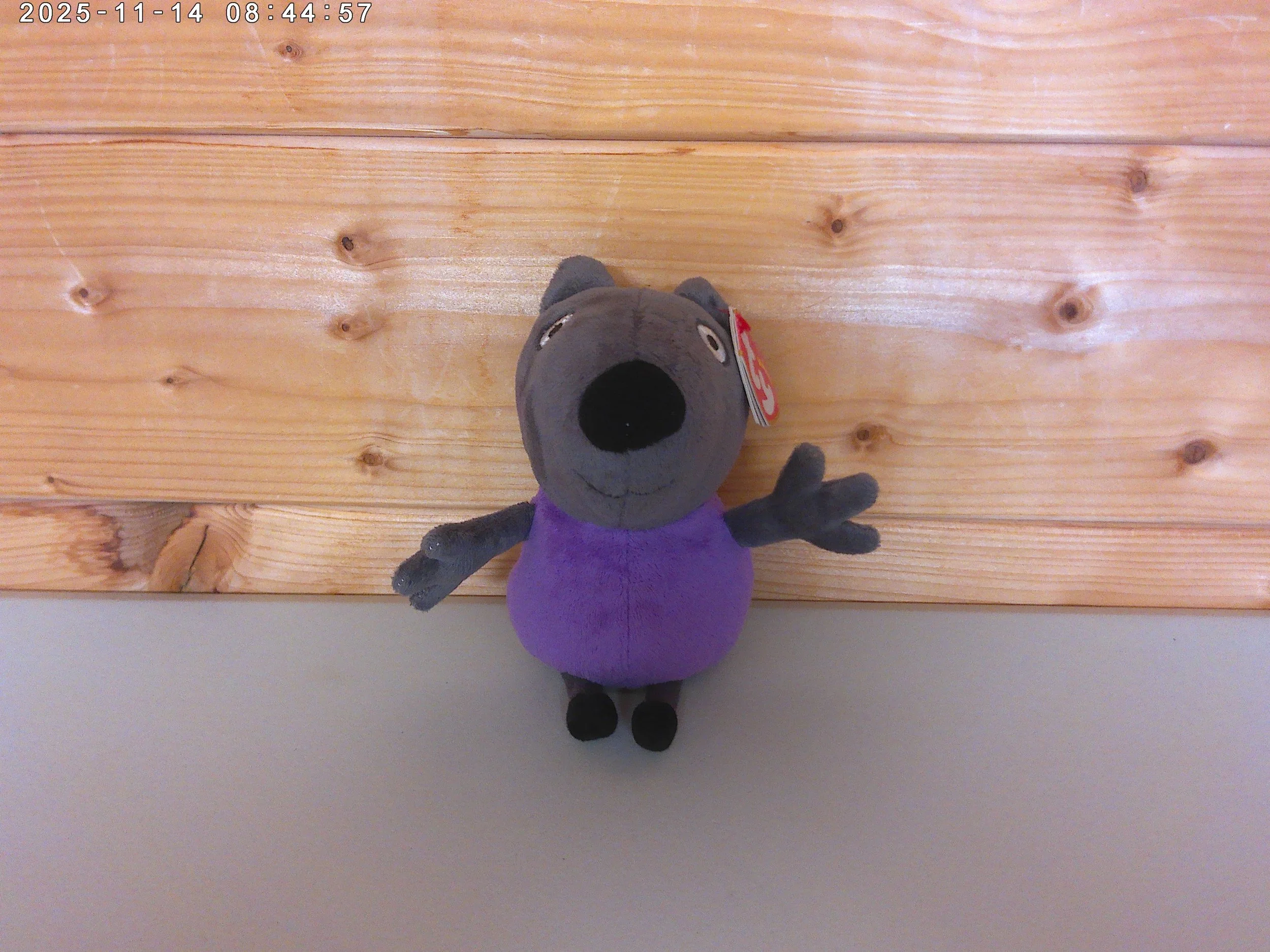 Danny dog - photo 3.jpg