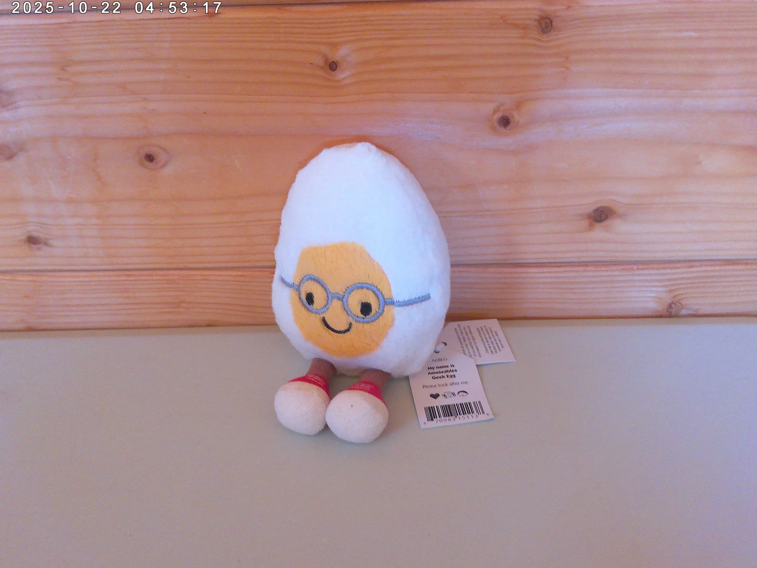 Geek egg - photo 3.jpg
