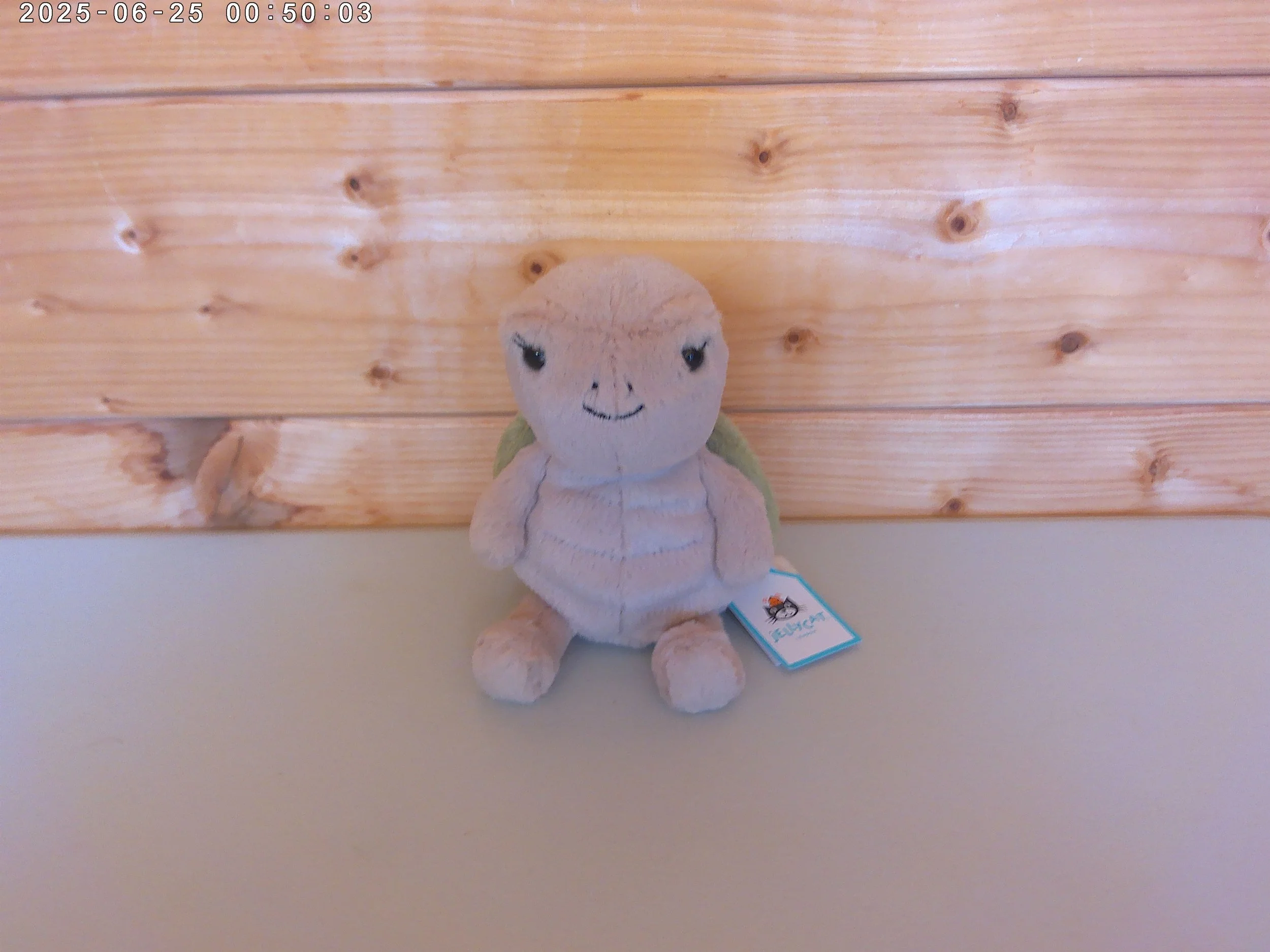 Thimble - photo 1.jpg