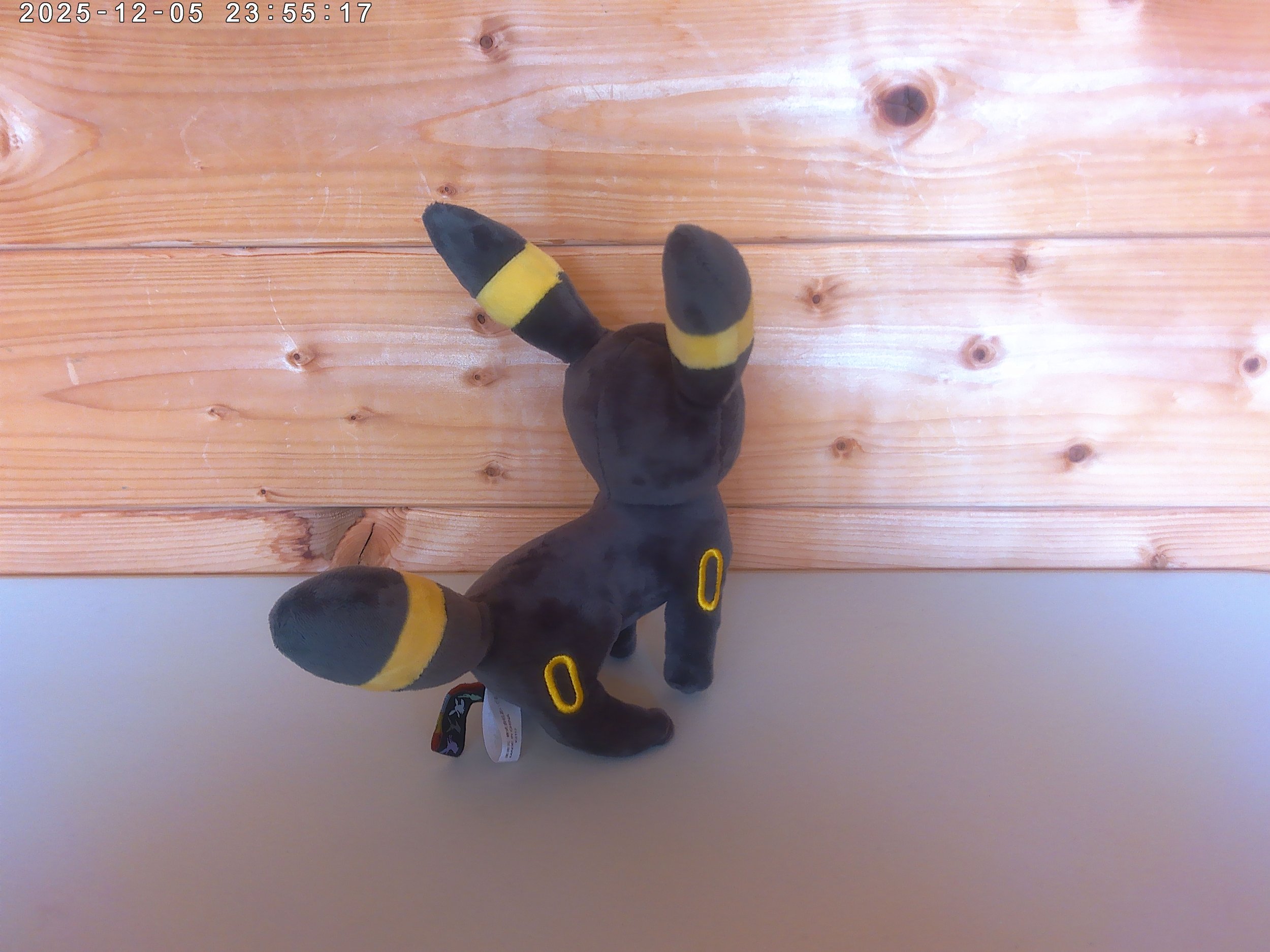 Umbreon - photo 3.jpg