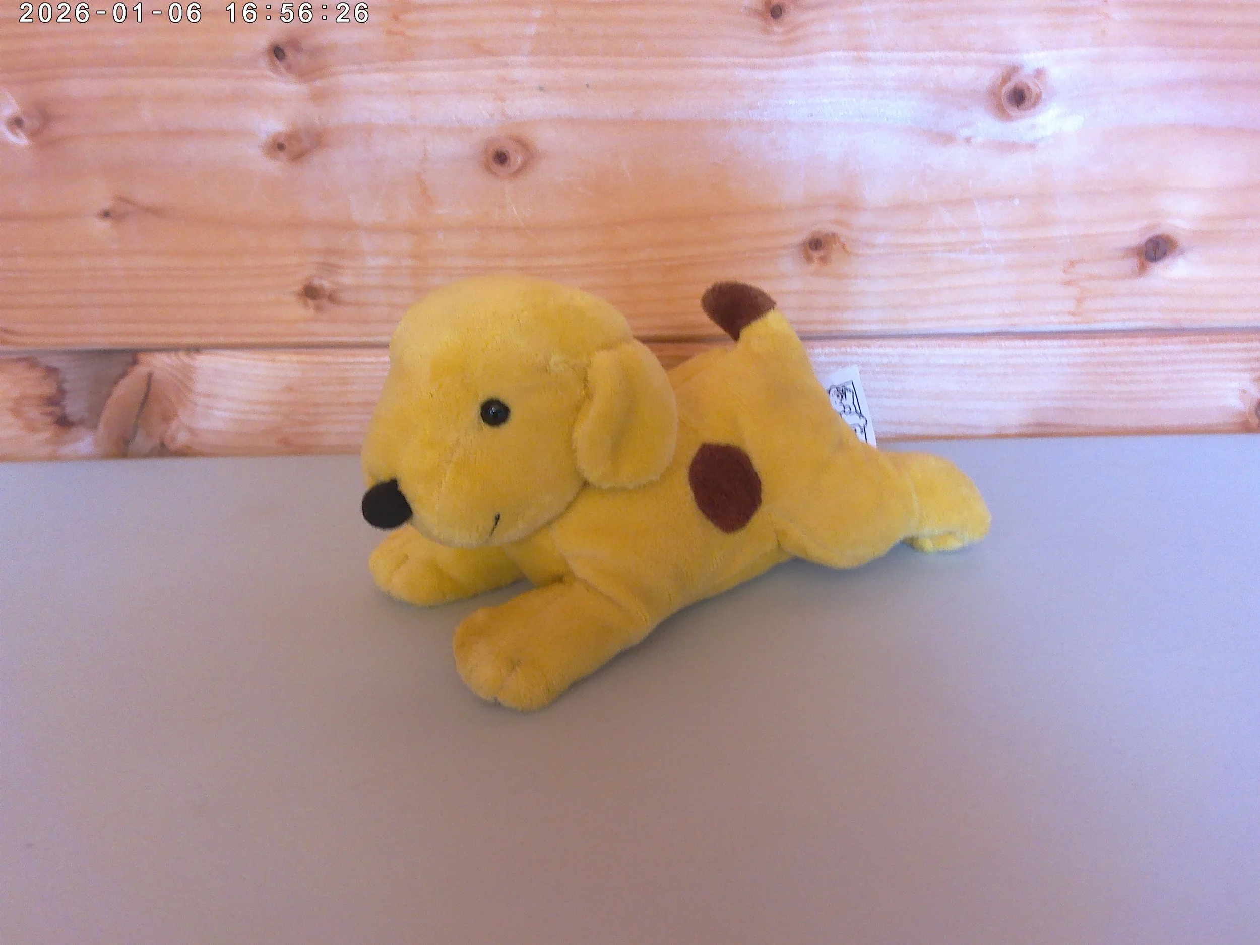 Spot the Dog Plush