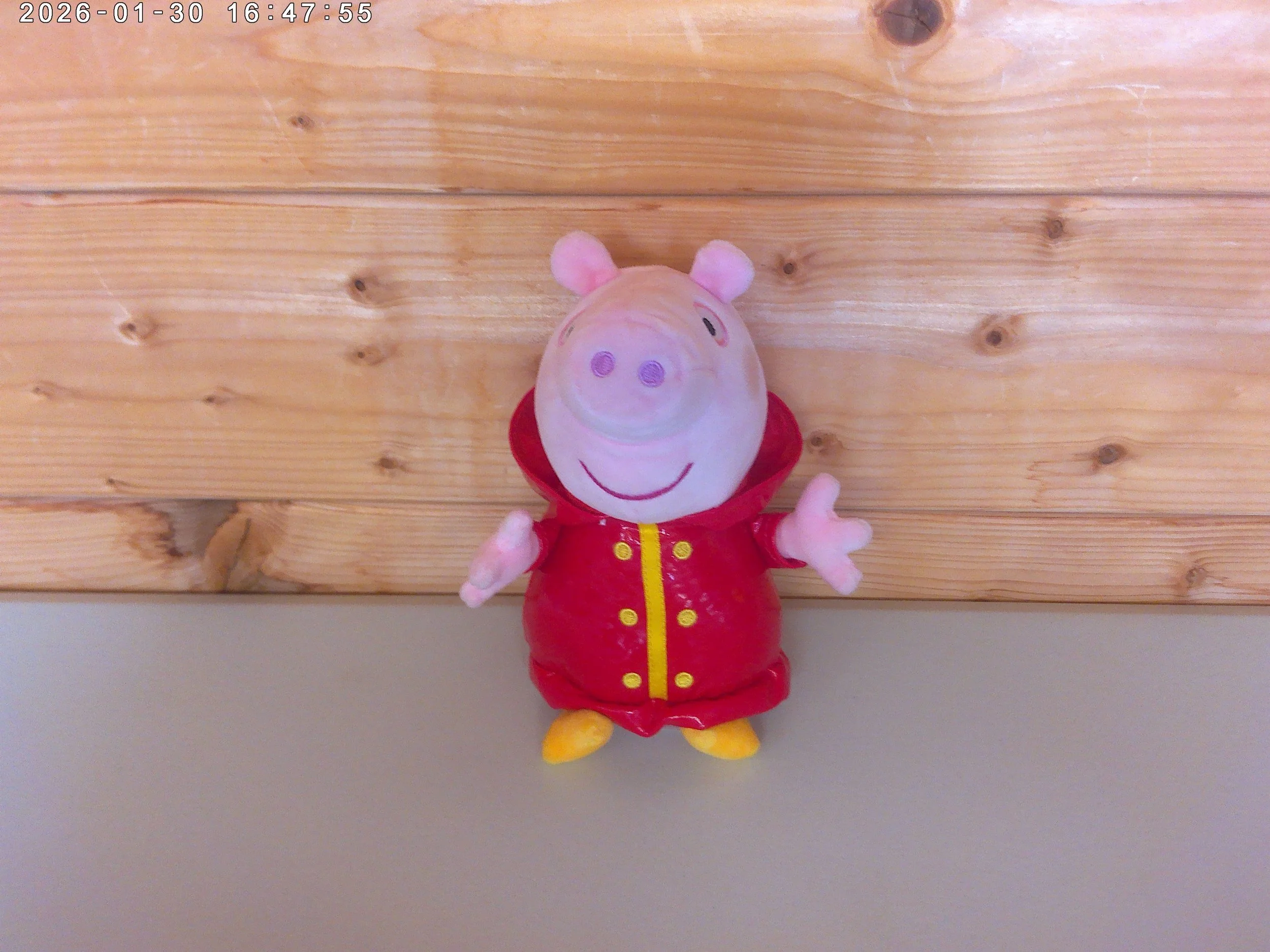Peppa raincoat - photo 4.jpg