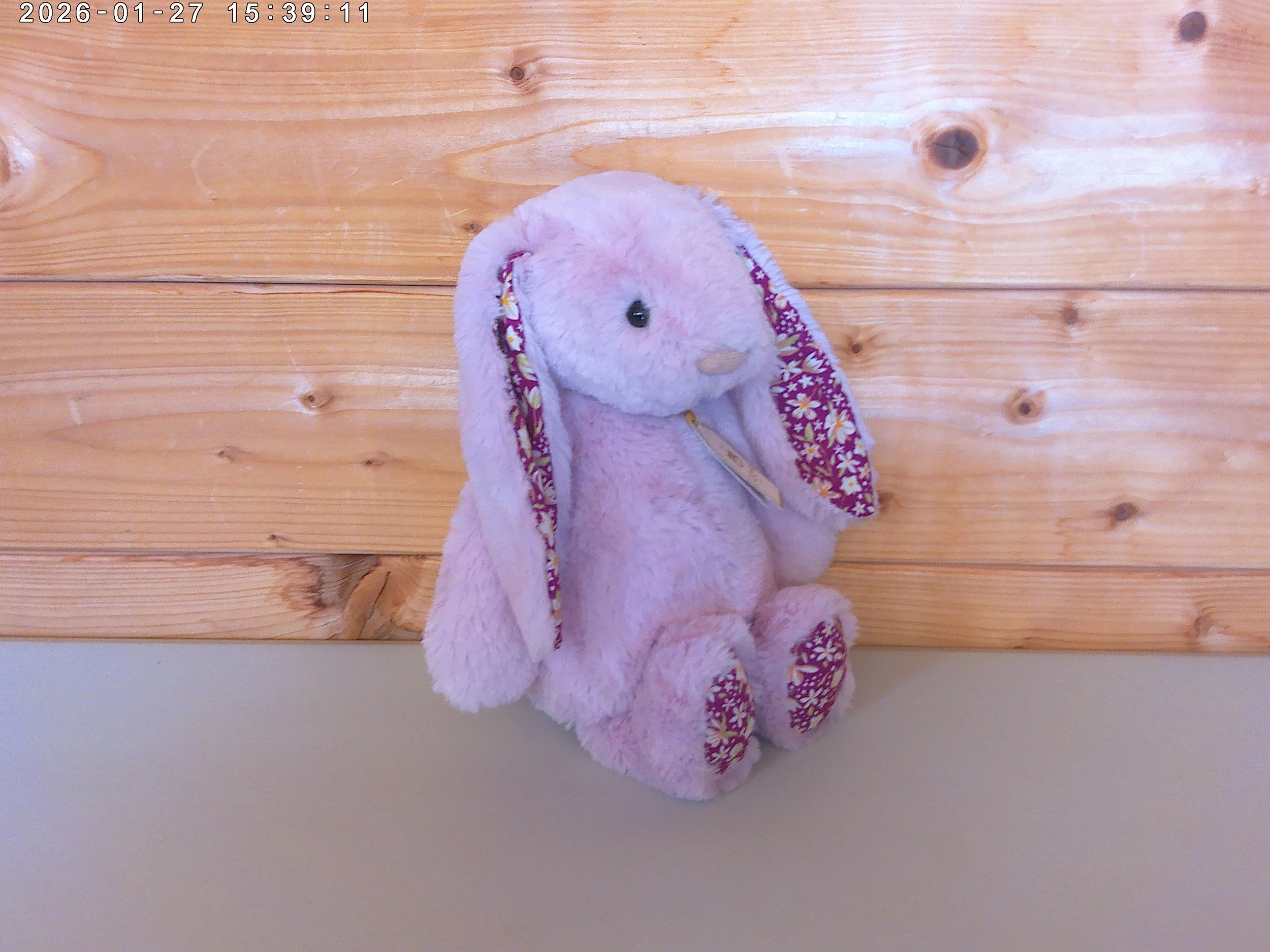Thistlepop - photo 4.jpg