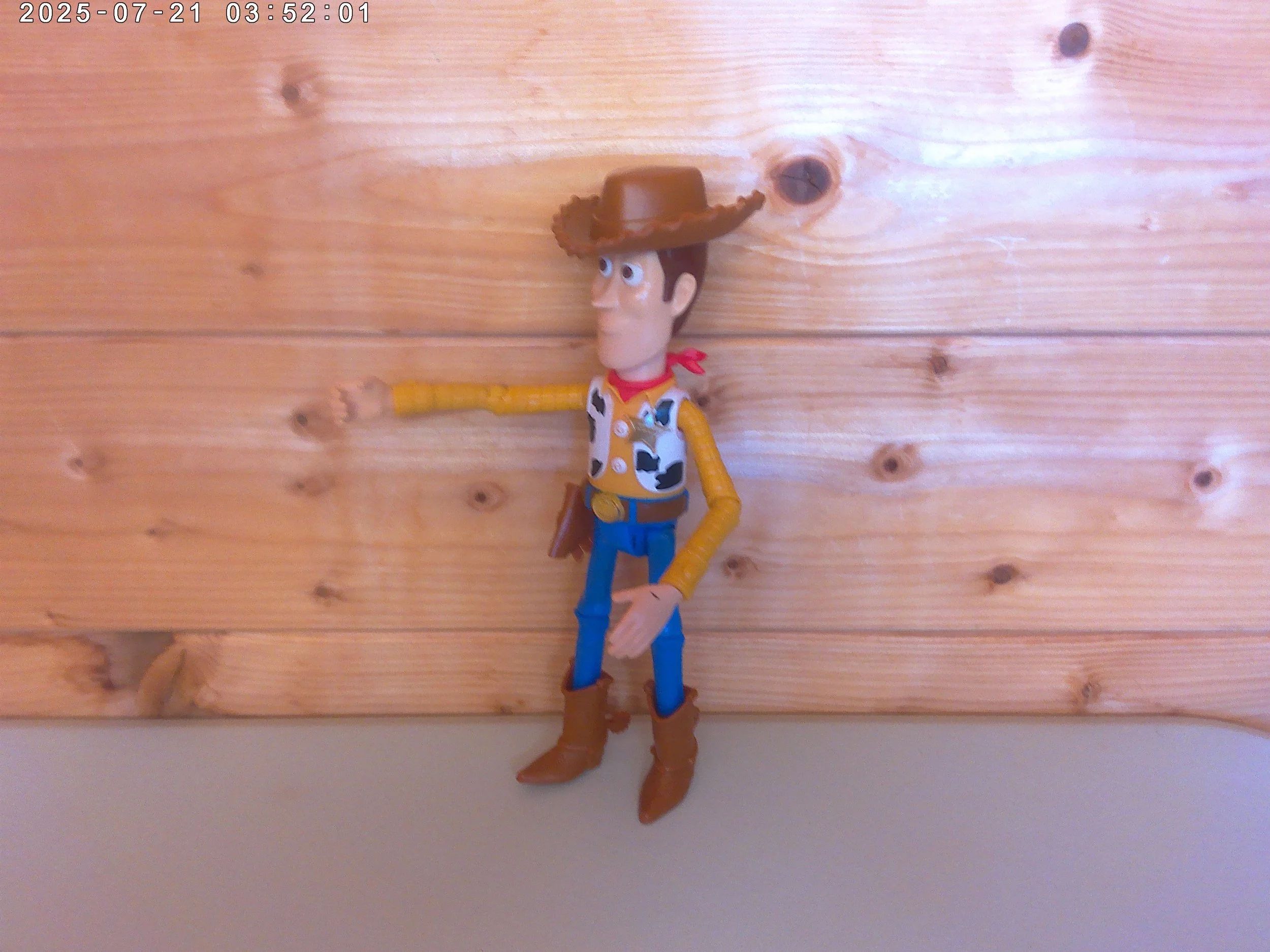 Woody - photo 2.jpg