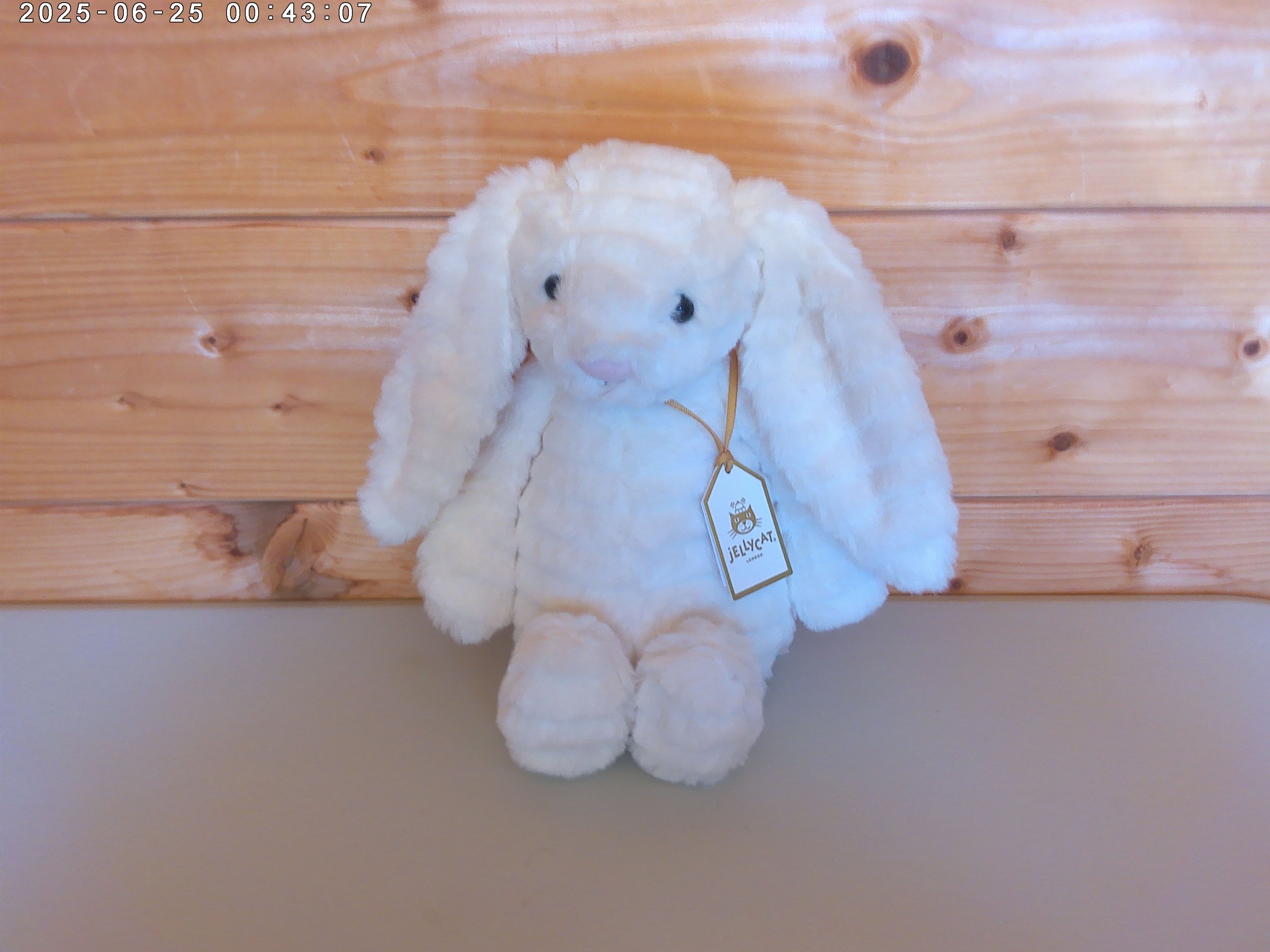 Nimbus - photo 1.jpg