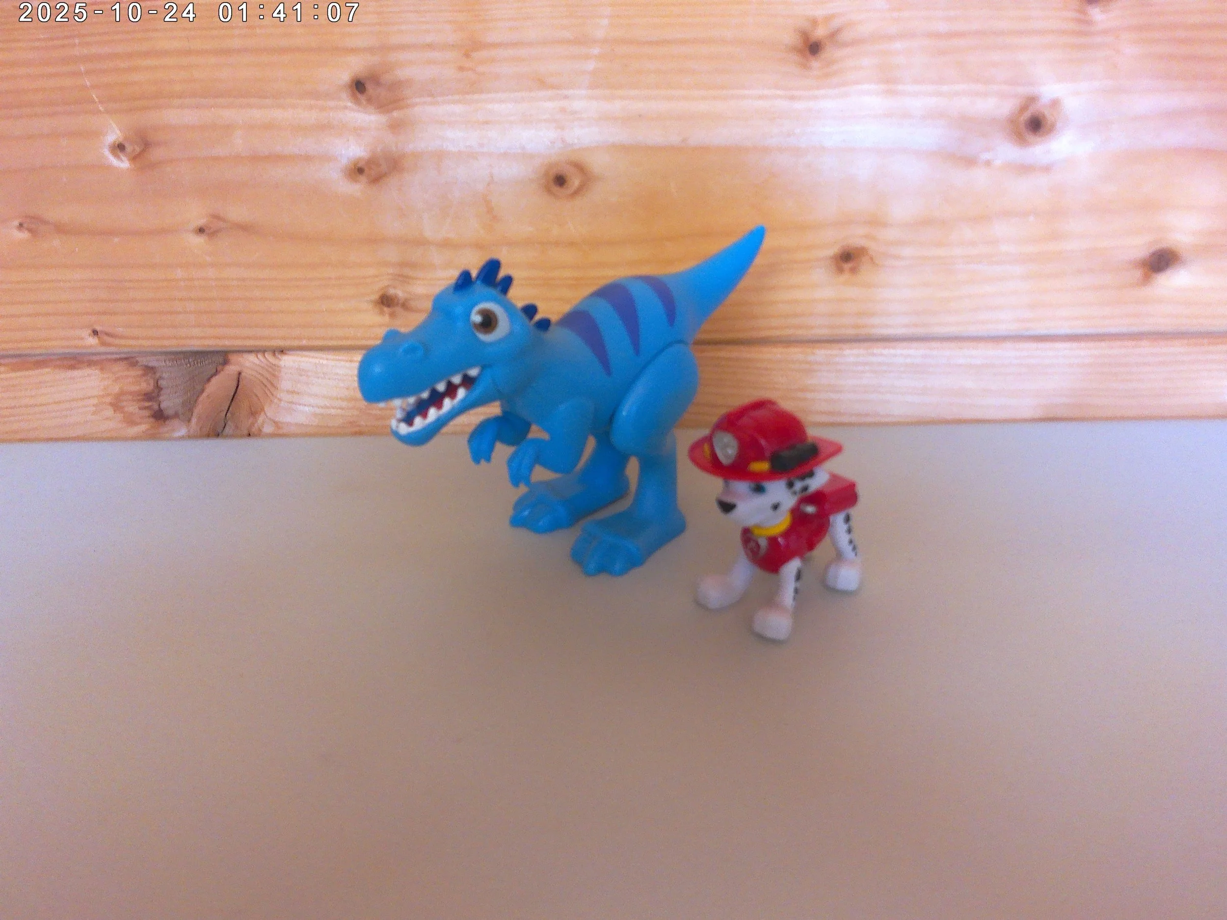 Marshall & dino - photo 1.jpg