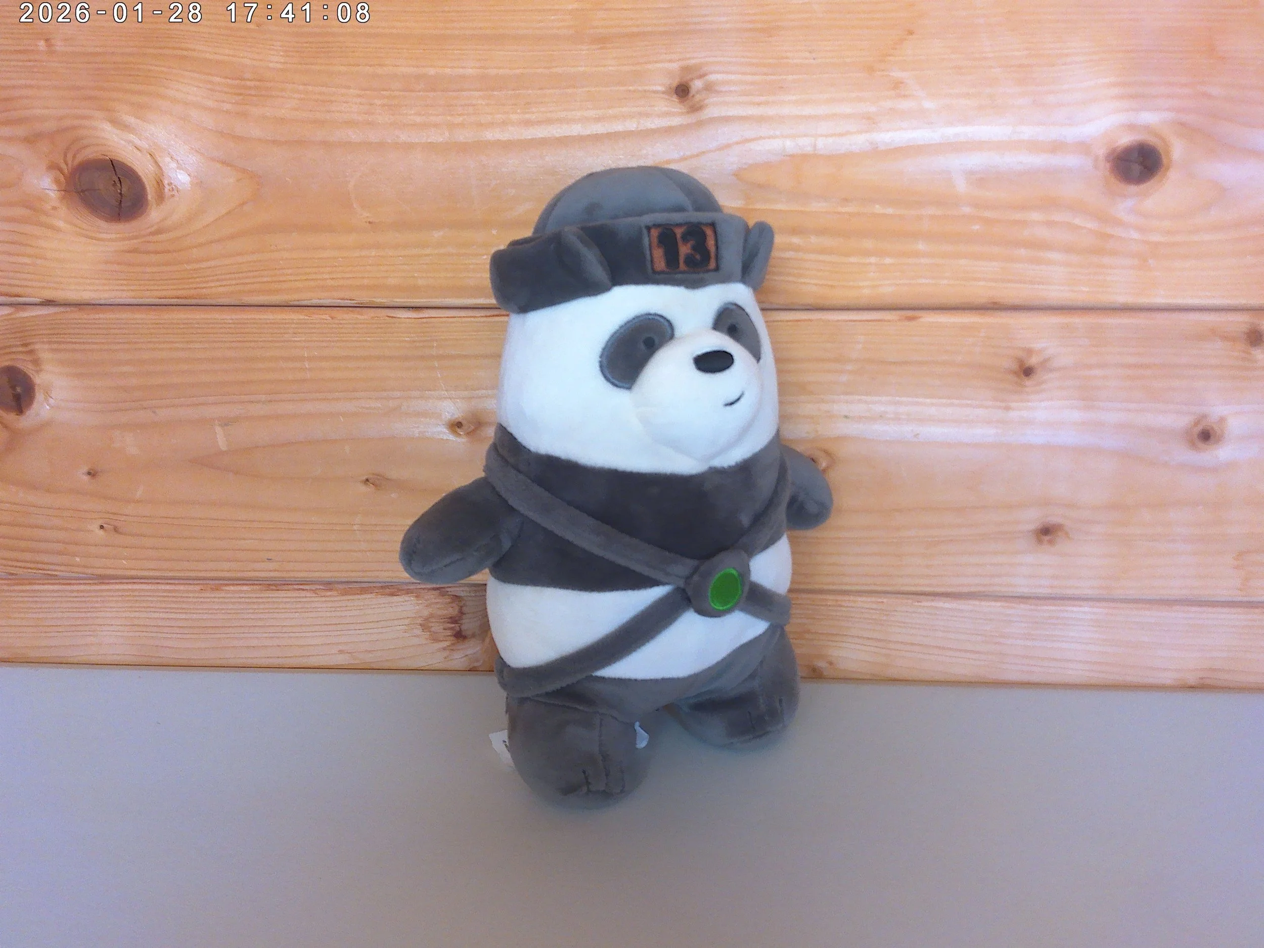 We Bear Bears - photo 3.jpg