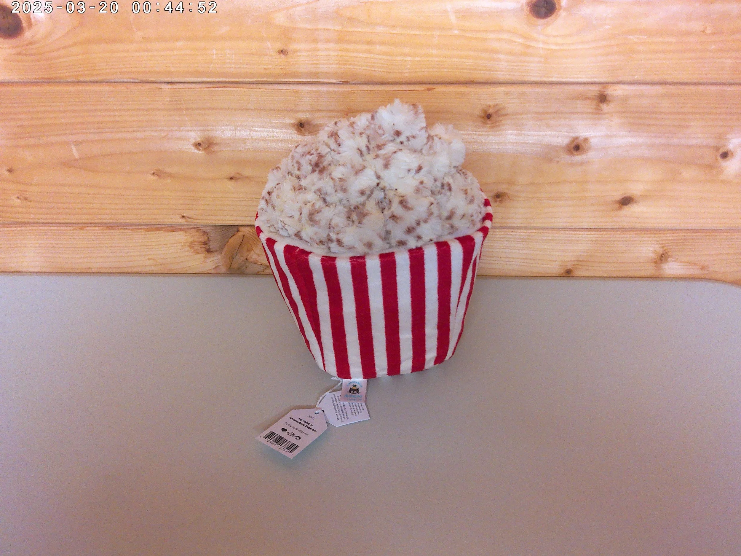 Popcorn - photo 2.jpg