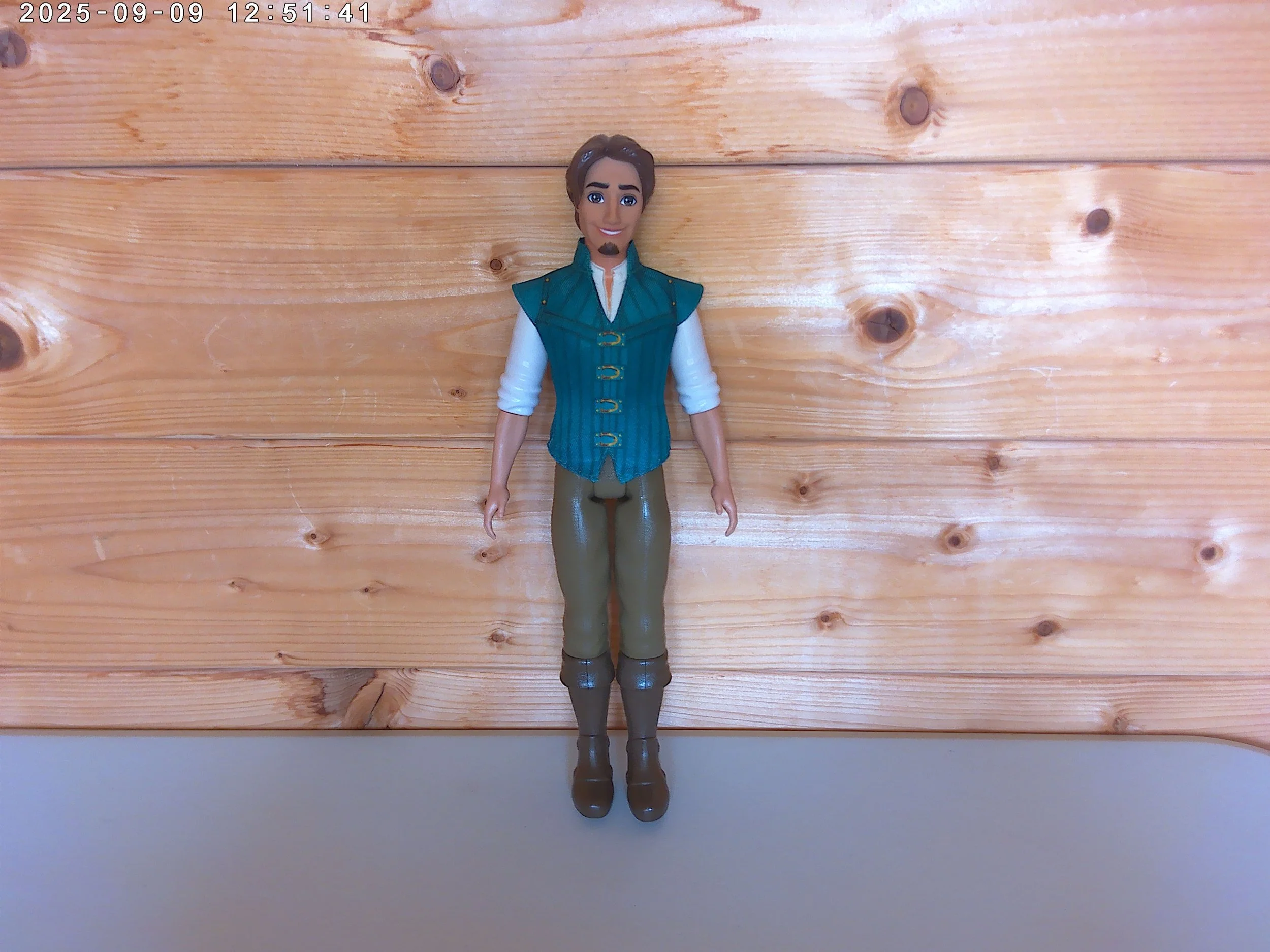 Flynn Rider - photo 1.jpg