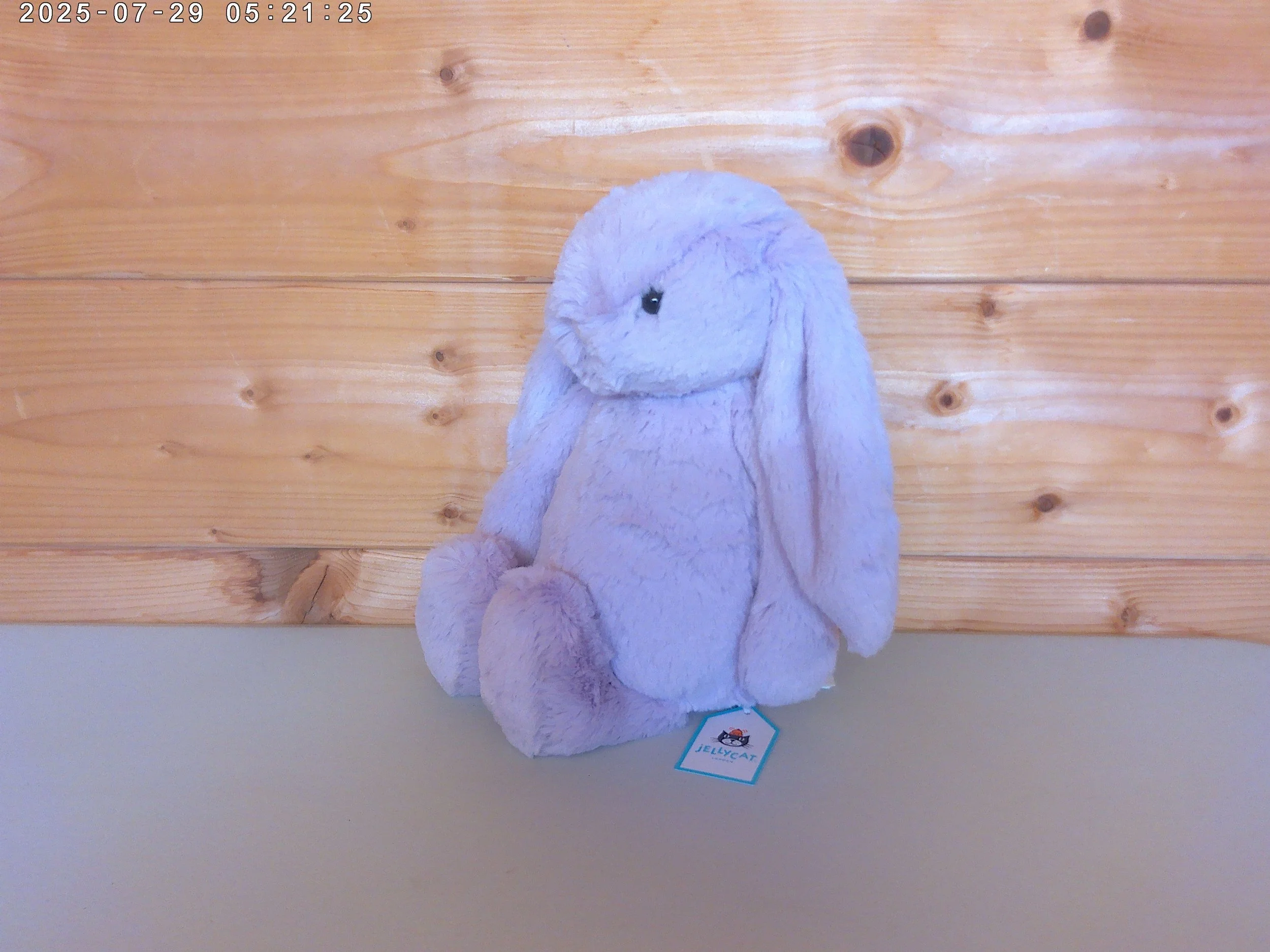 Lilac bunny - photo 3.jpg