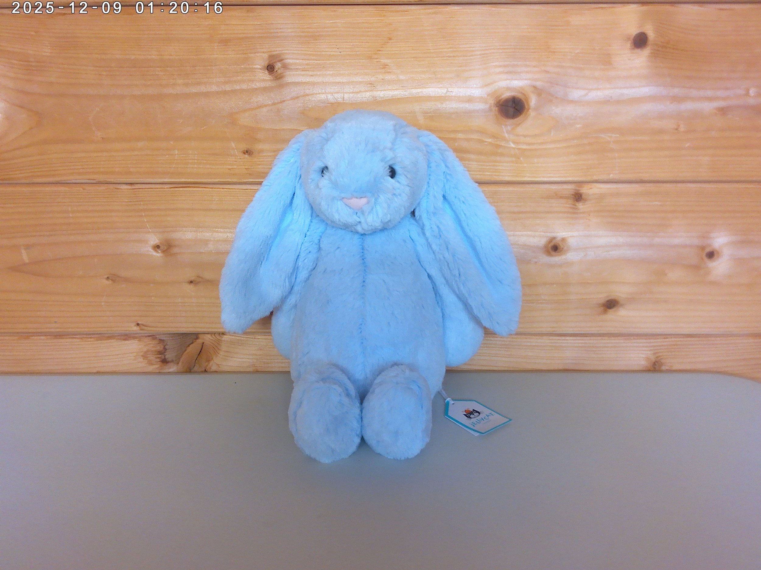 Jellycat Bashful Blue Bunny - New