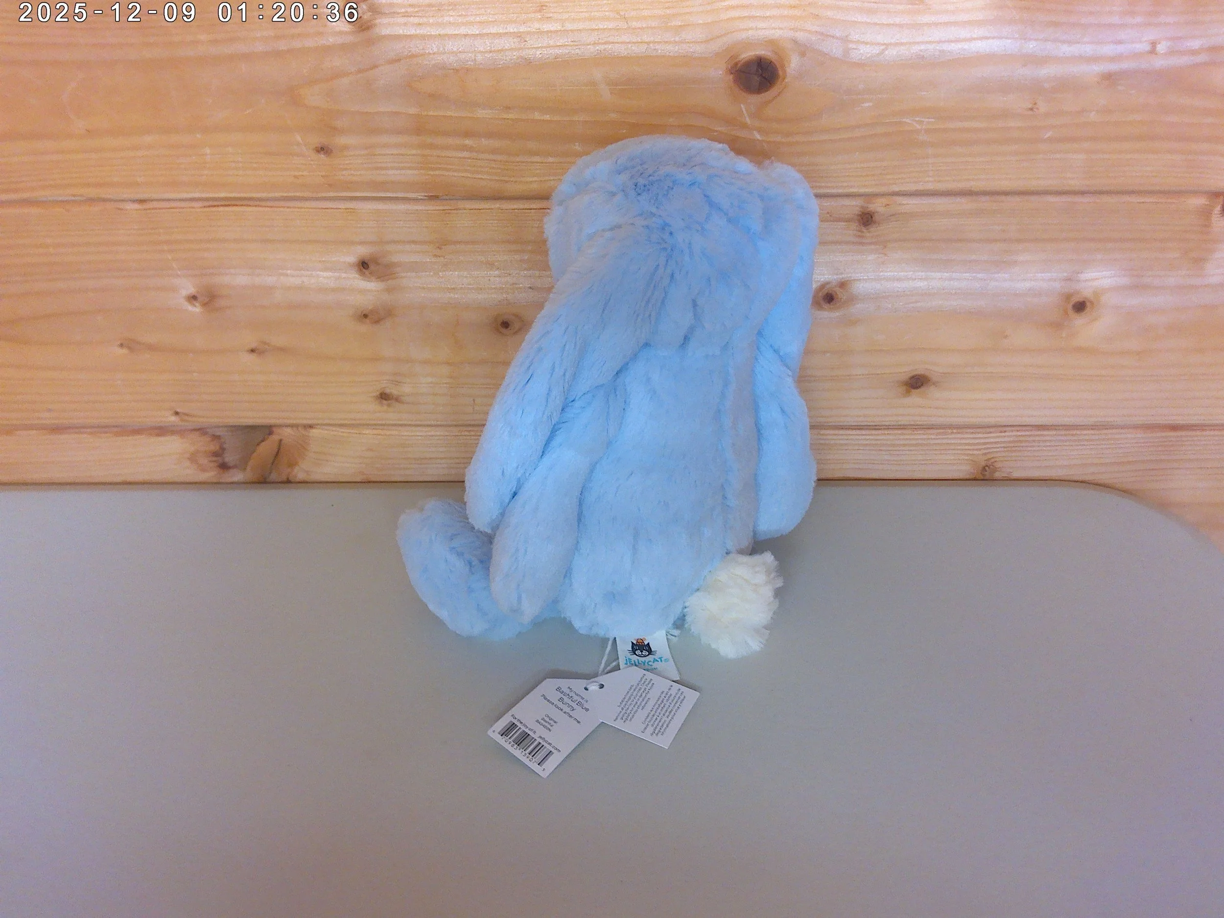 Blue bunny - photo 2.jpg