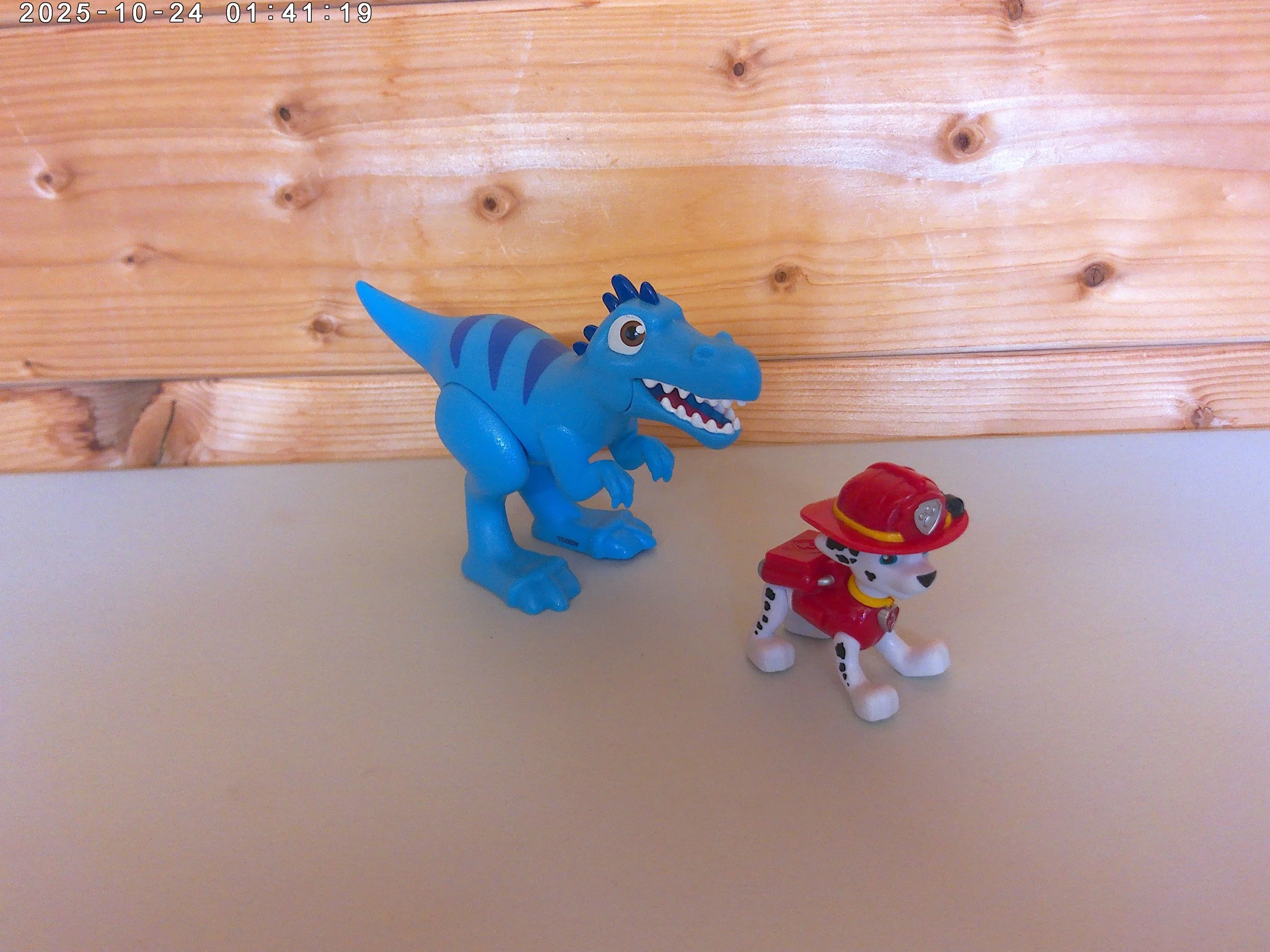 Marshall & dino - photo 2.jpg