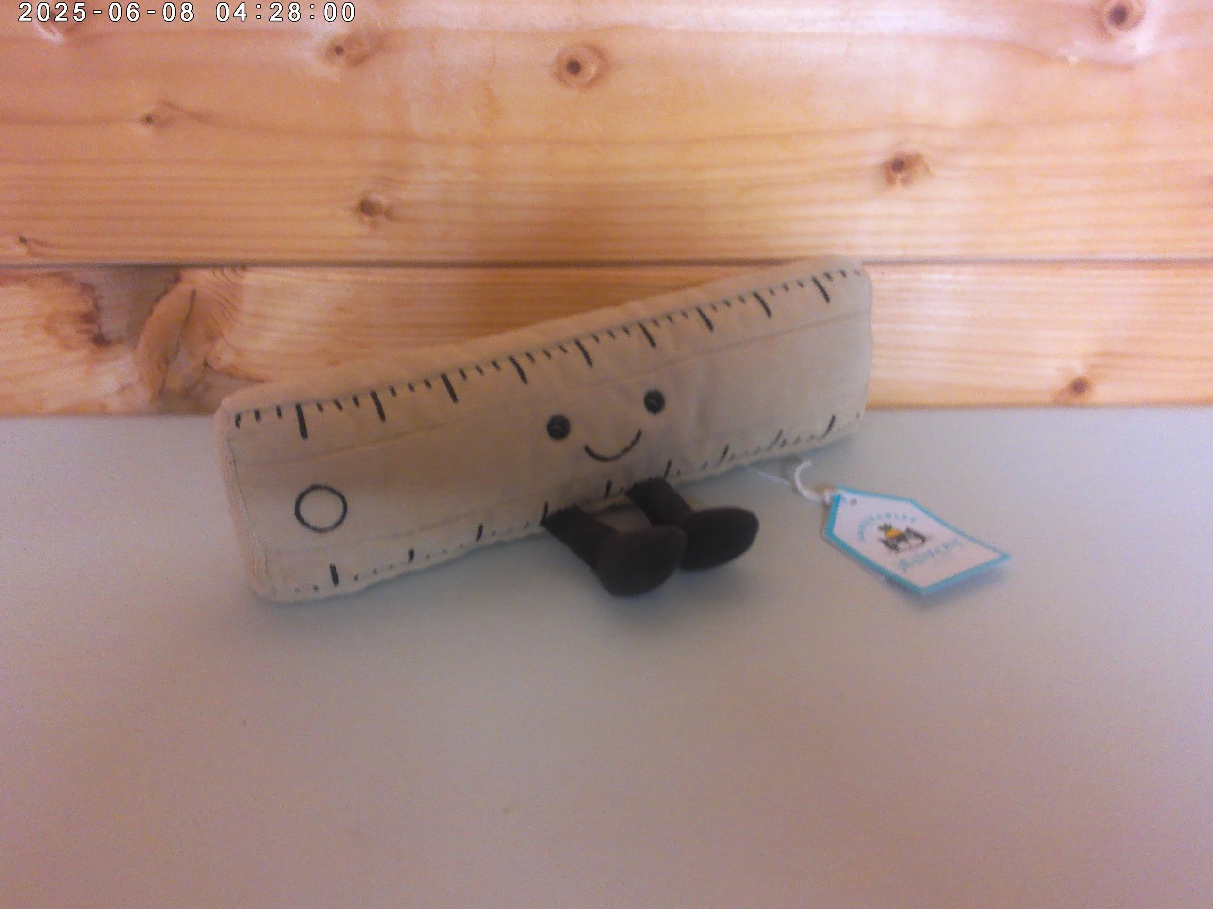 Ruler - photo 3.jpg