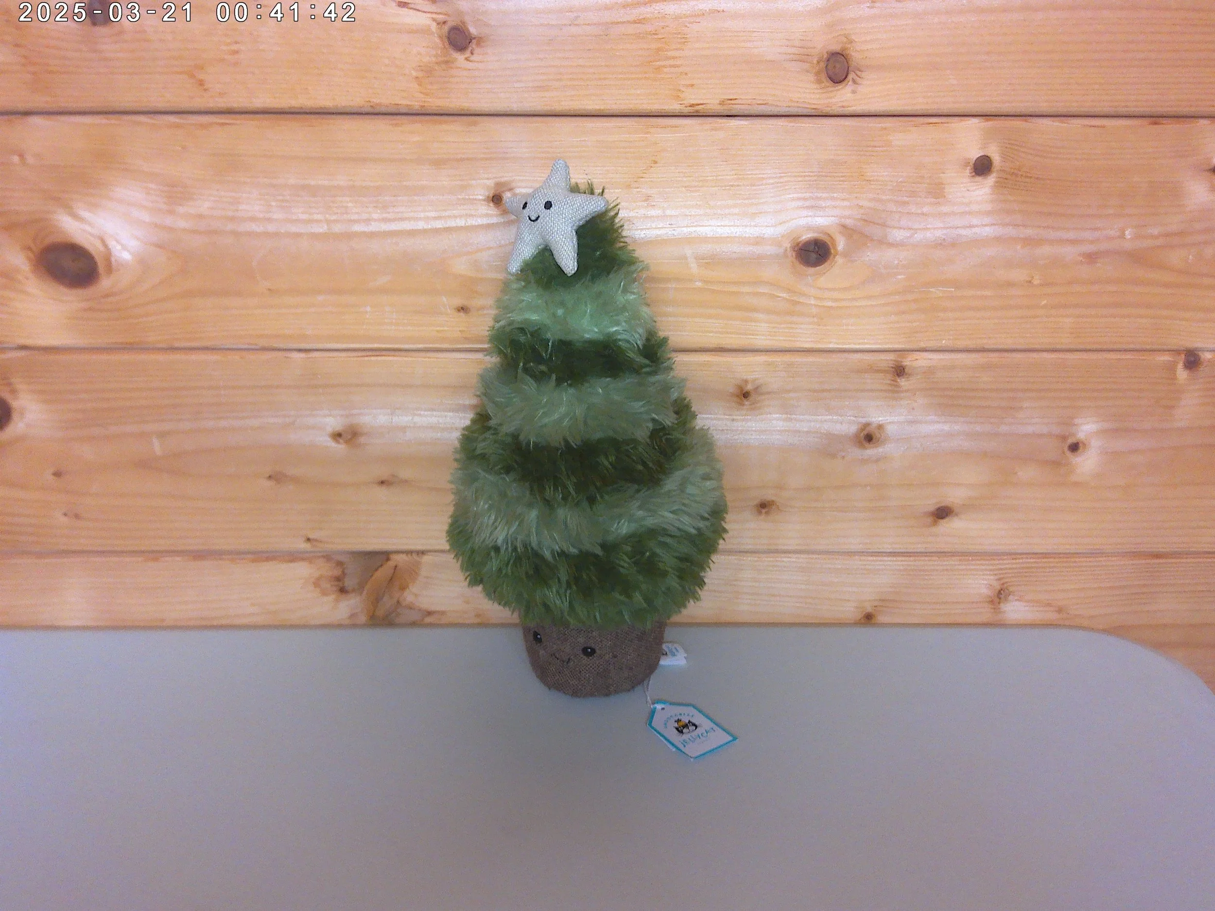 Christmas tree - photo 3.jpg