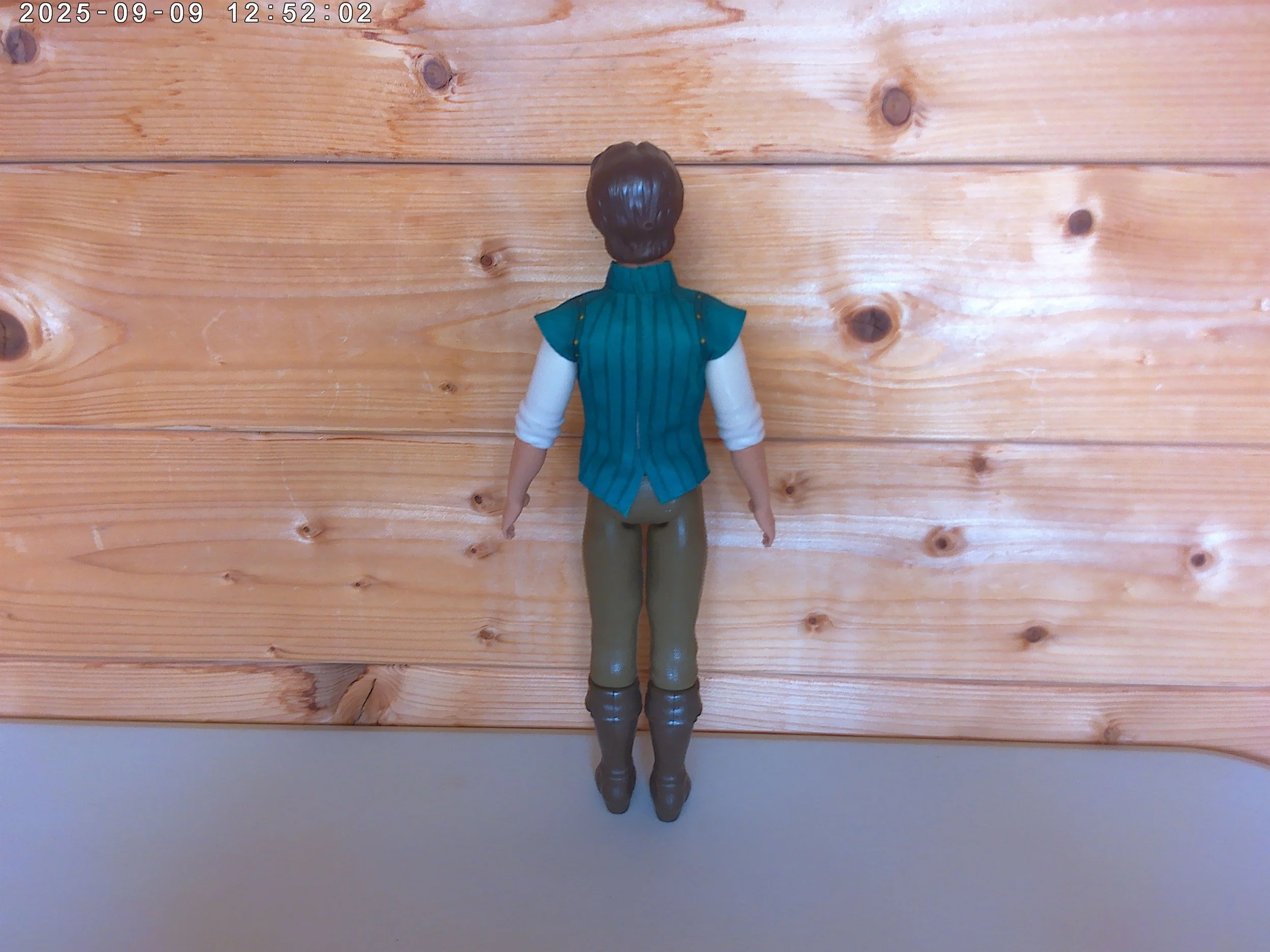 Flynn Rider - photo 2.jpg