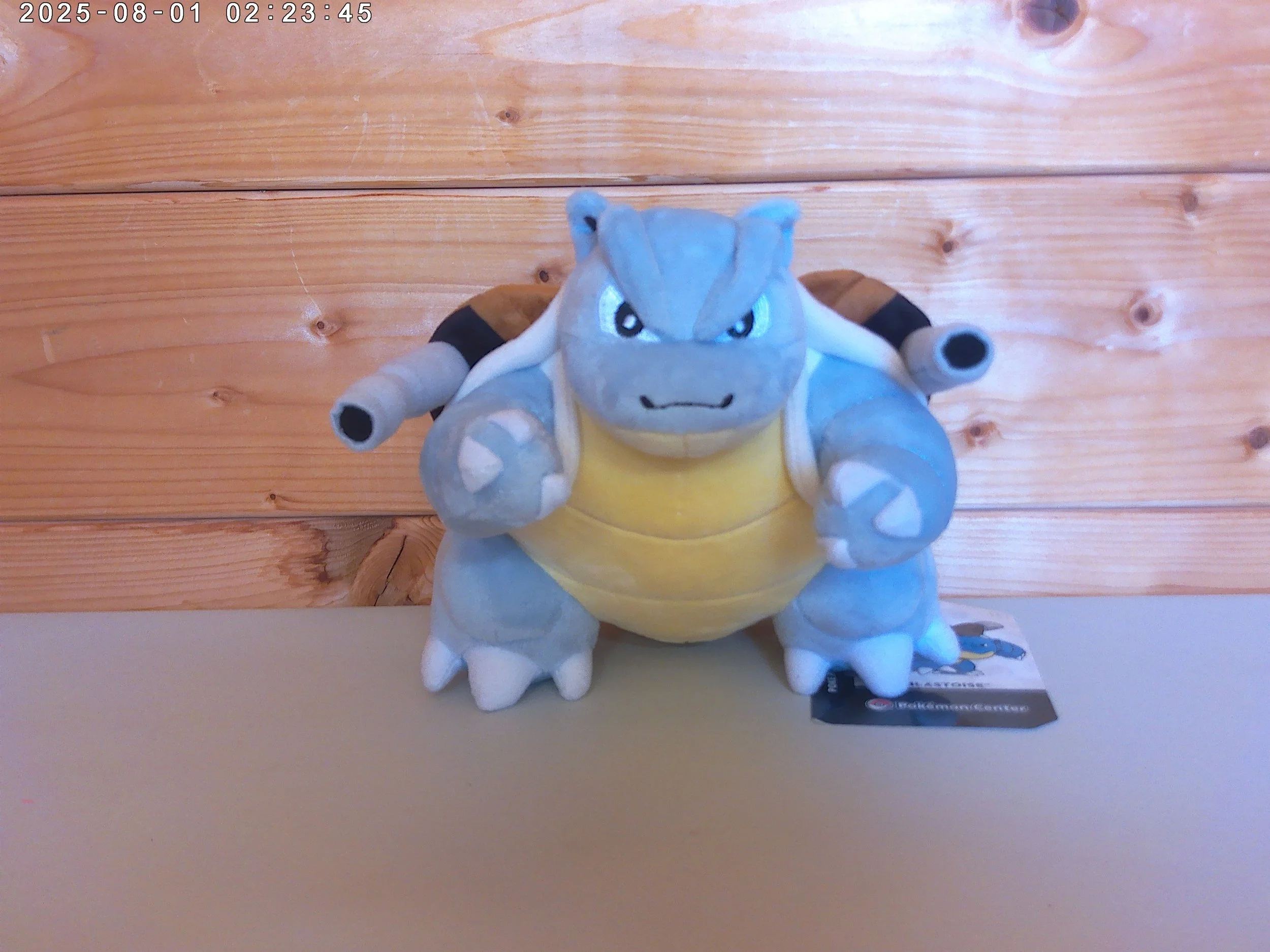 Blastoise - photo 1.jpg