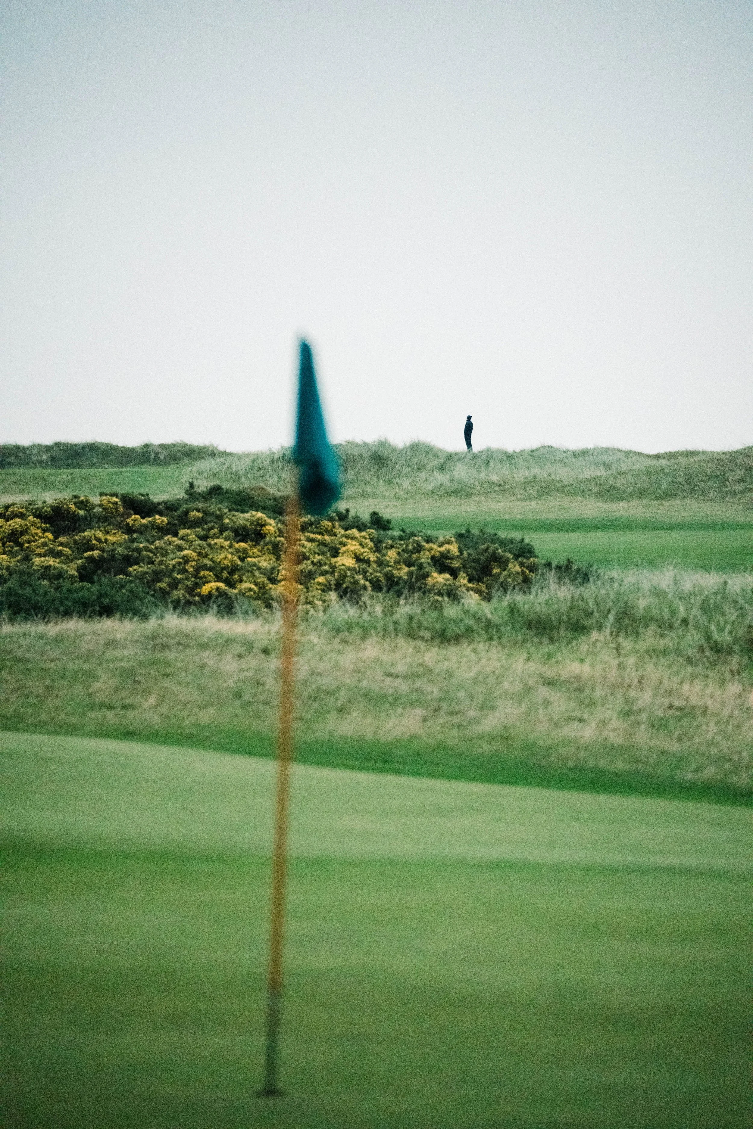 ireland_20251016-13.jpg