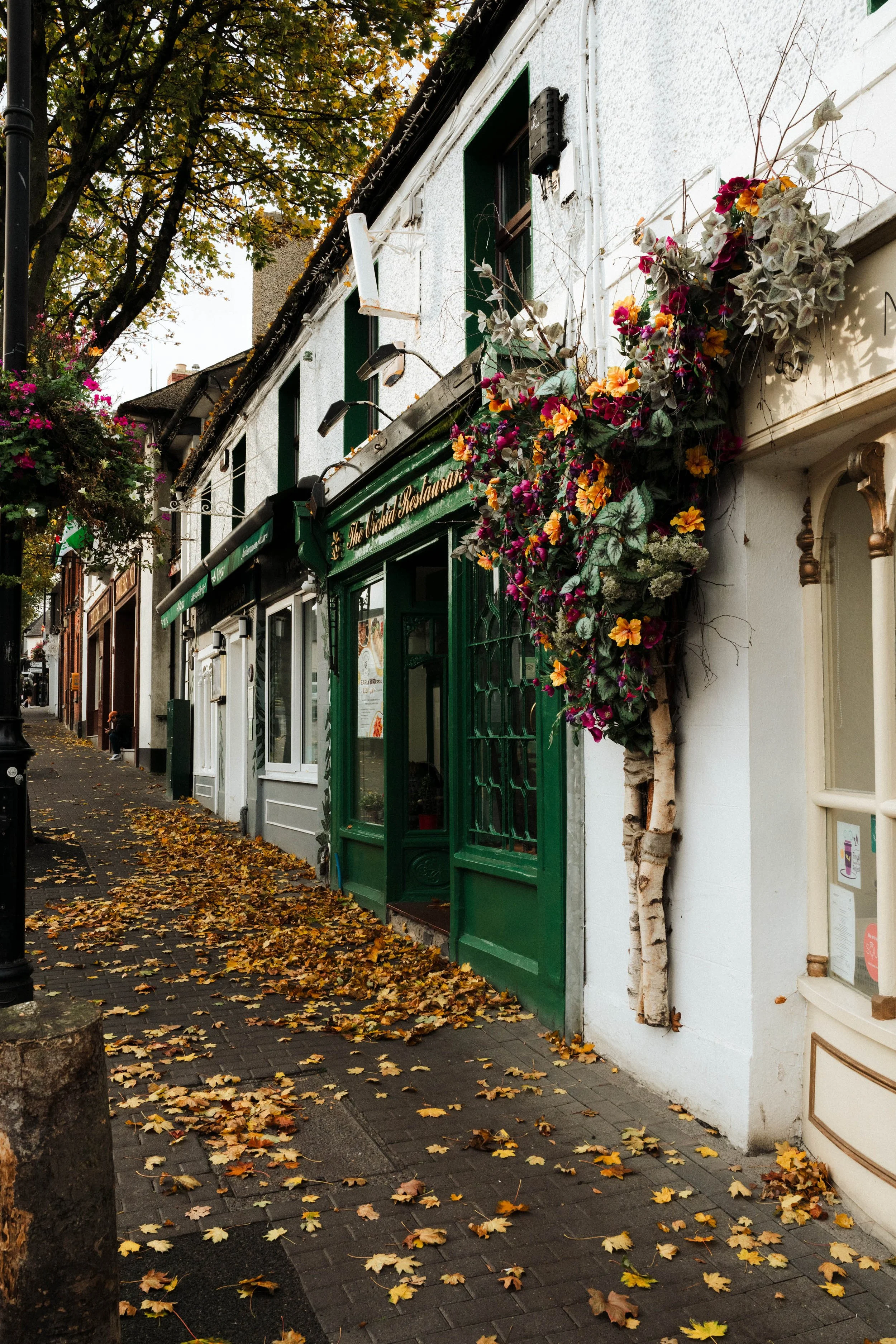 ireland_20251018-9.jpg