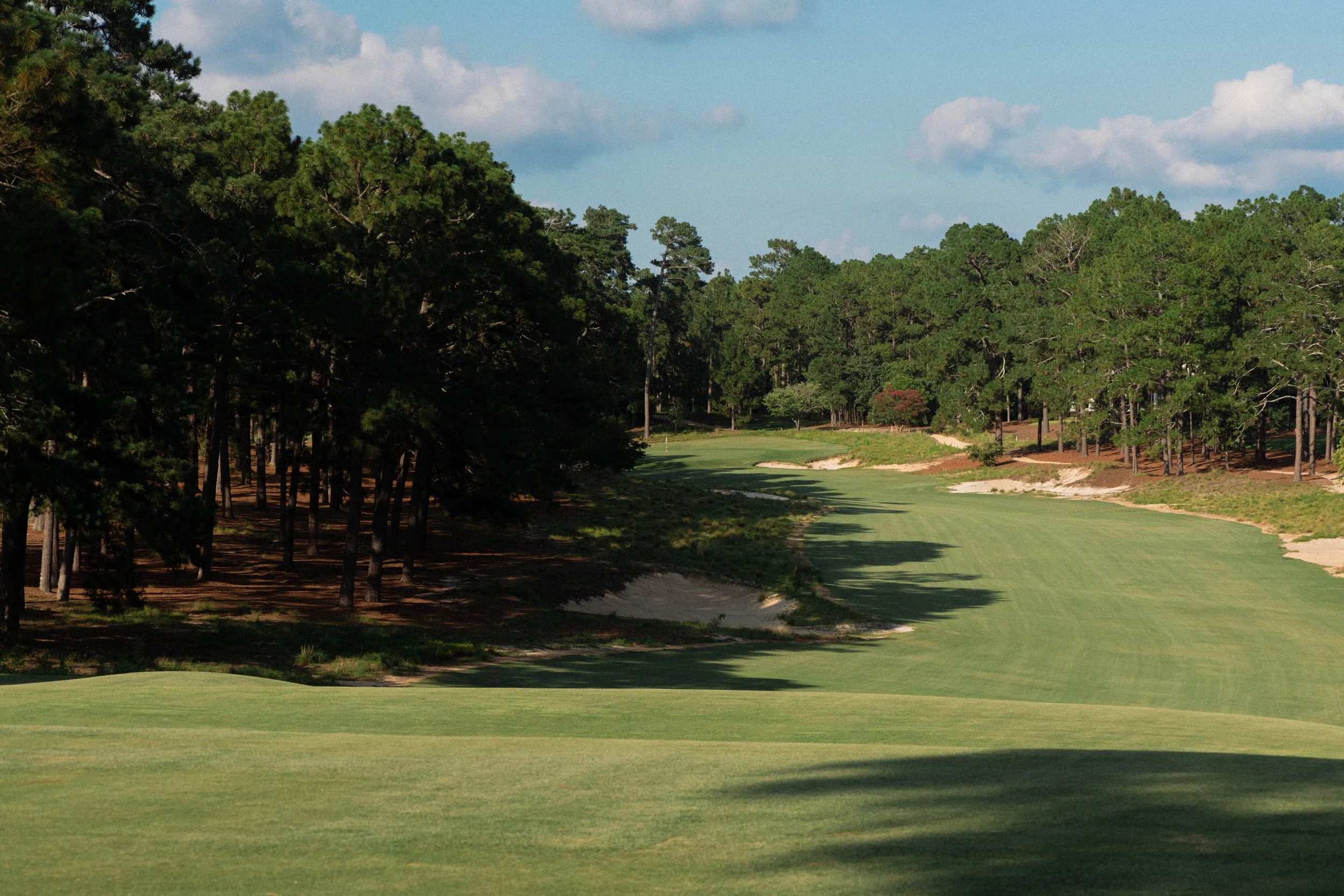 pinehurst_no2_20250624_20.jpg