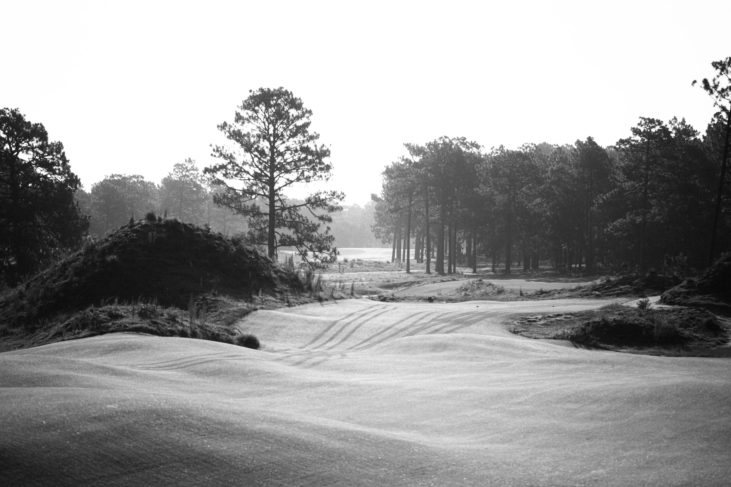 pinehurst_no10_20250624_27.jpg
