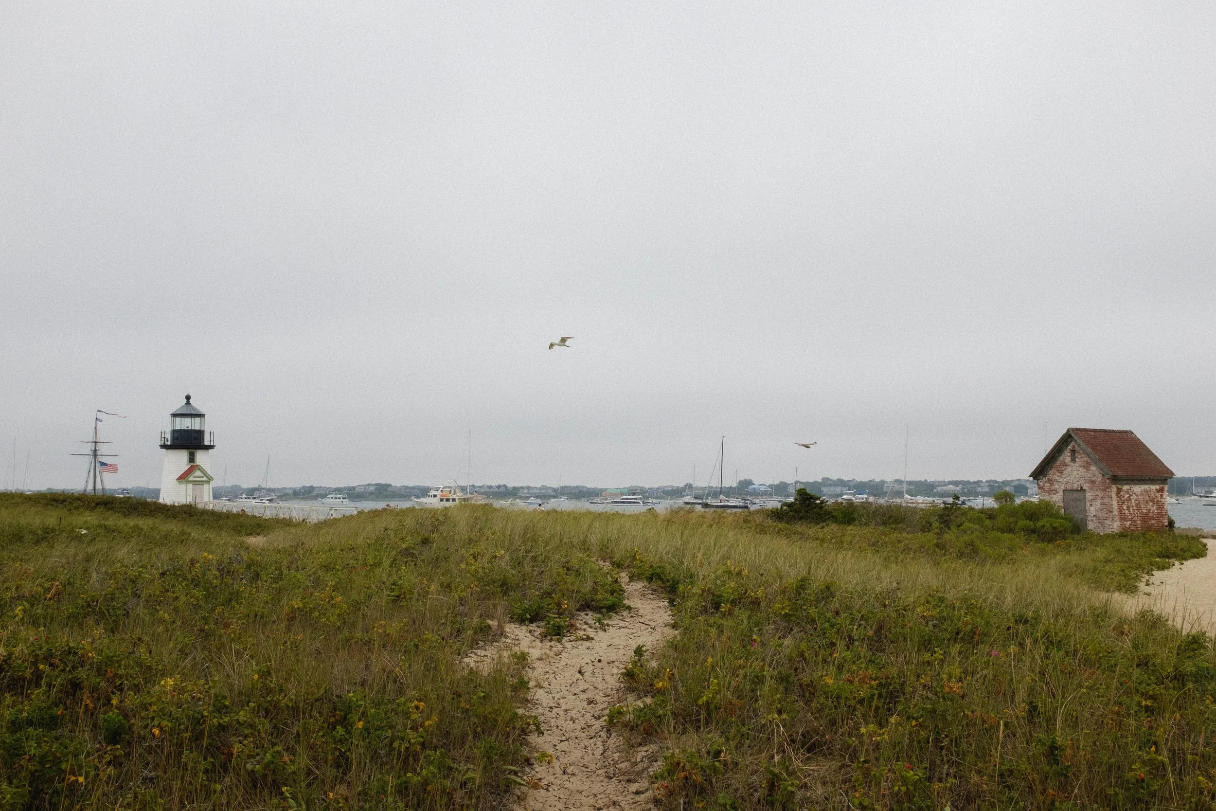 nantucket_20250821-187.jpg