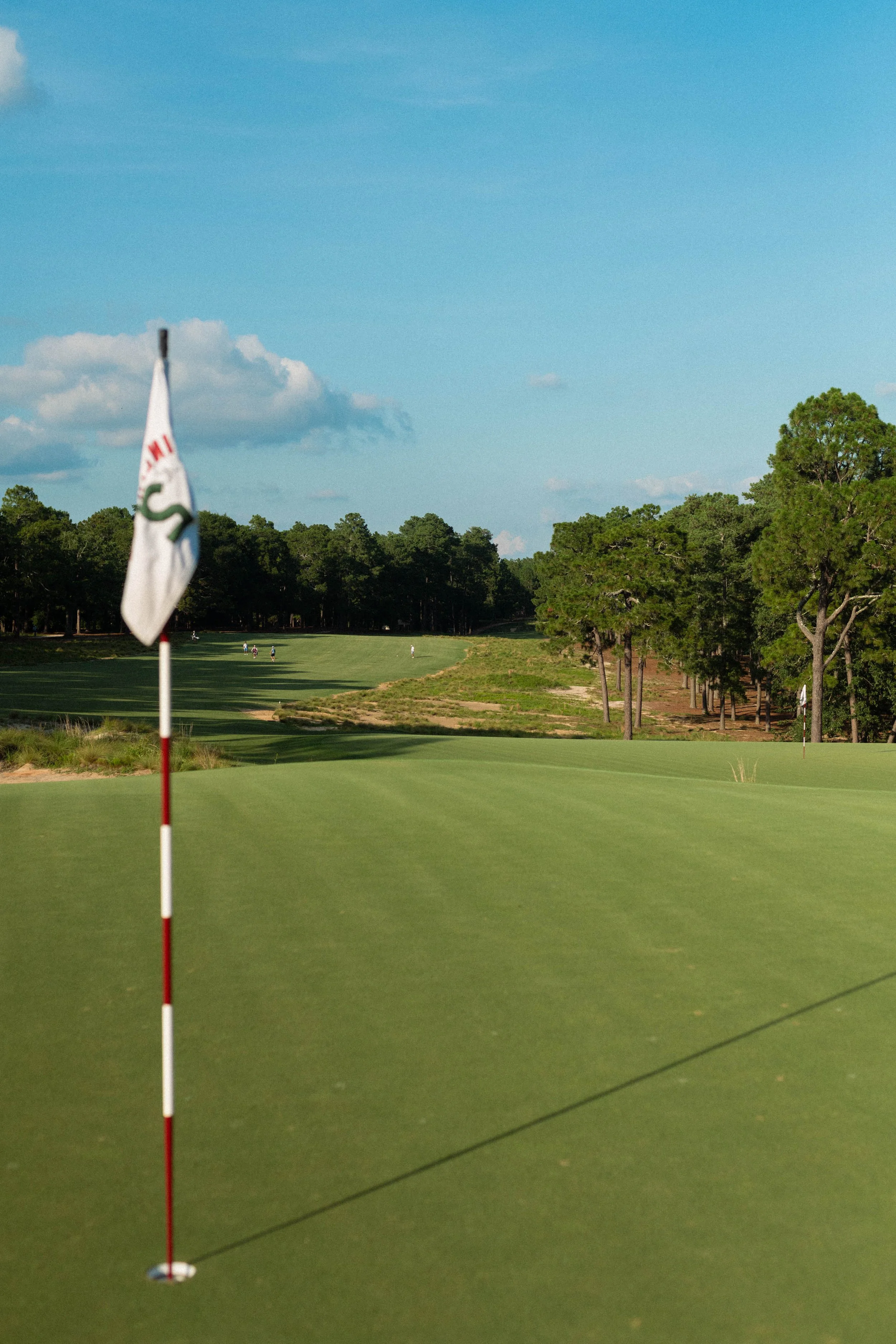 pinehurst_no2_20250624_45.jpg