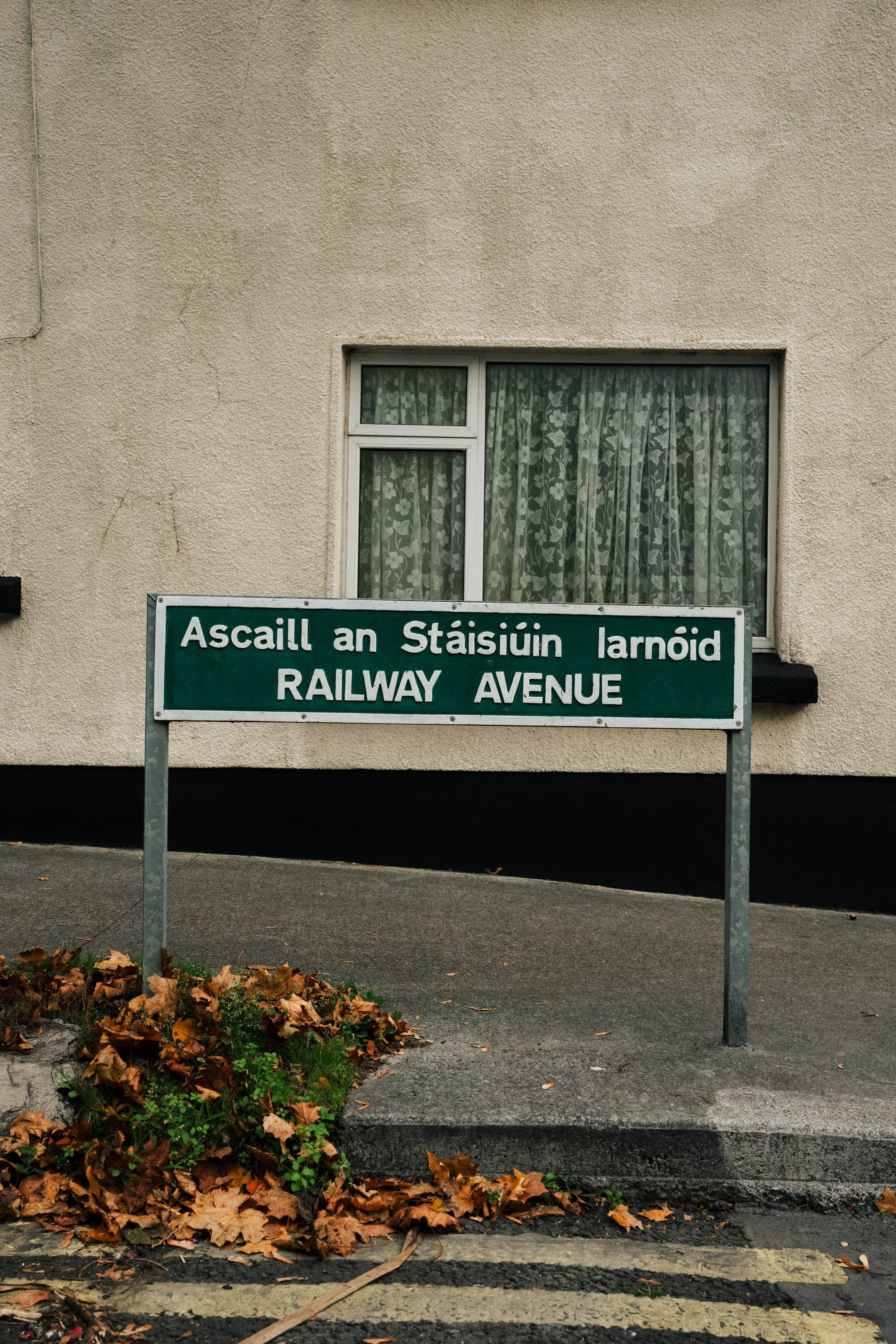 ireland_20251018-24.jpg