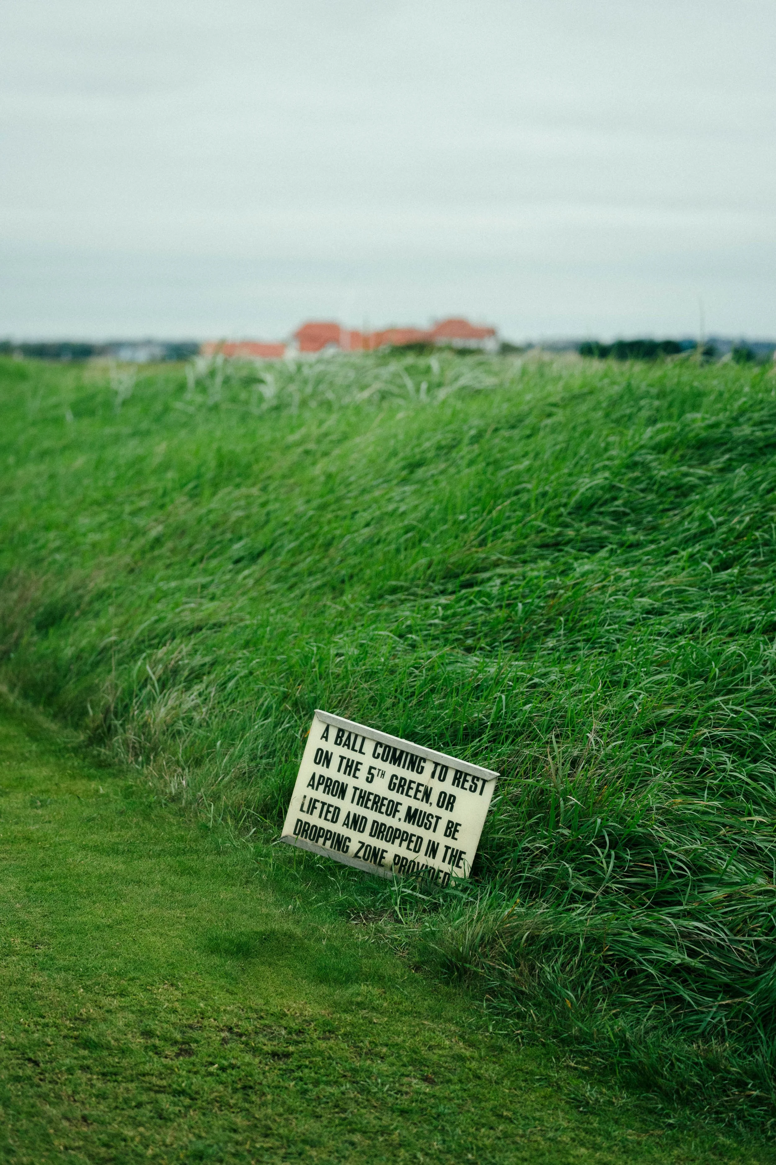 ireland_20251015-31.jpg