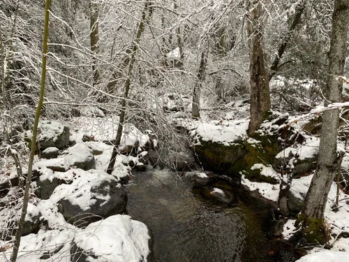 Snow-covered creek at Baxter Ranch surrounded by winter trees, natural rock formations, and a peaceful forest landscape during the snowy season.