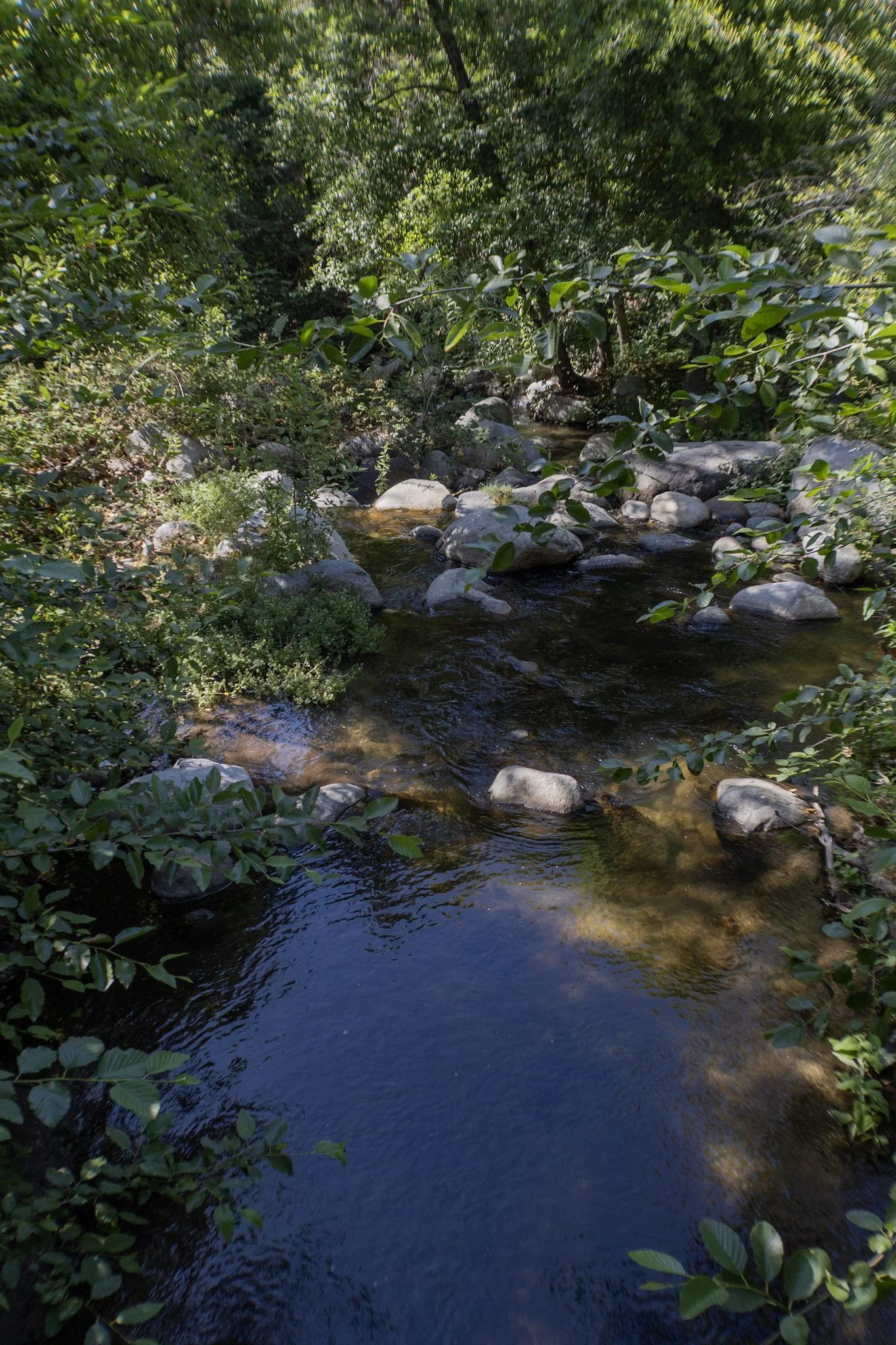 A peaceful creek flowing through Baxter Ranch surrounded by lush green forest, leafy trees, and natural rock formations in the mountain landscape.