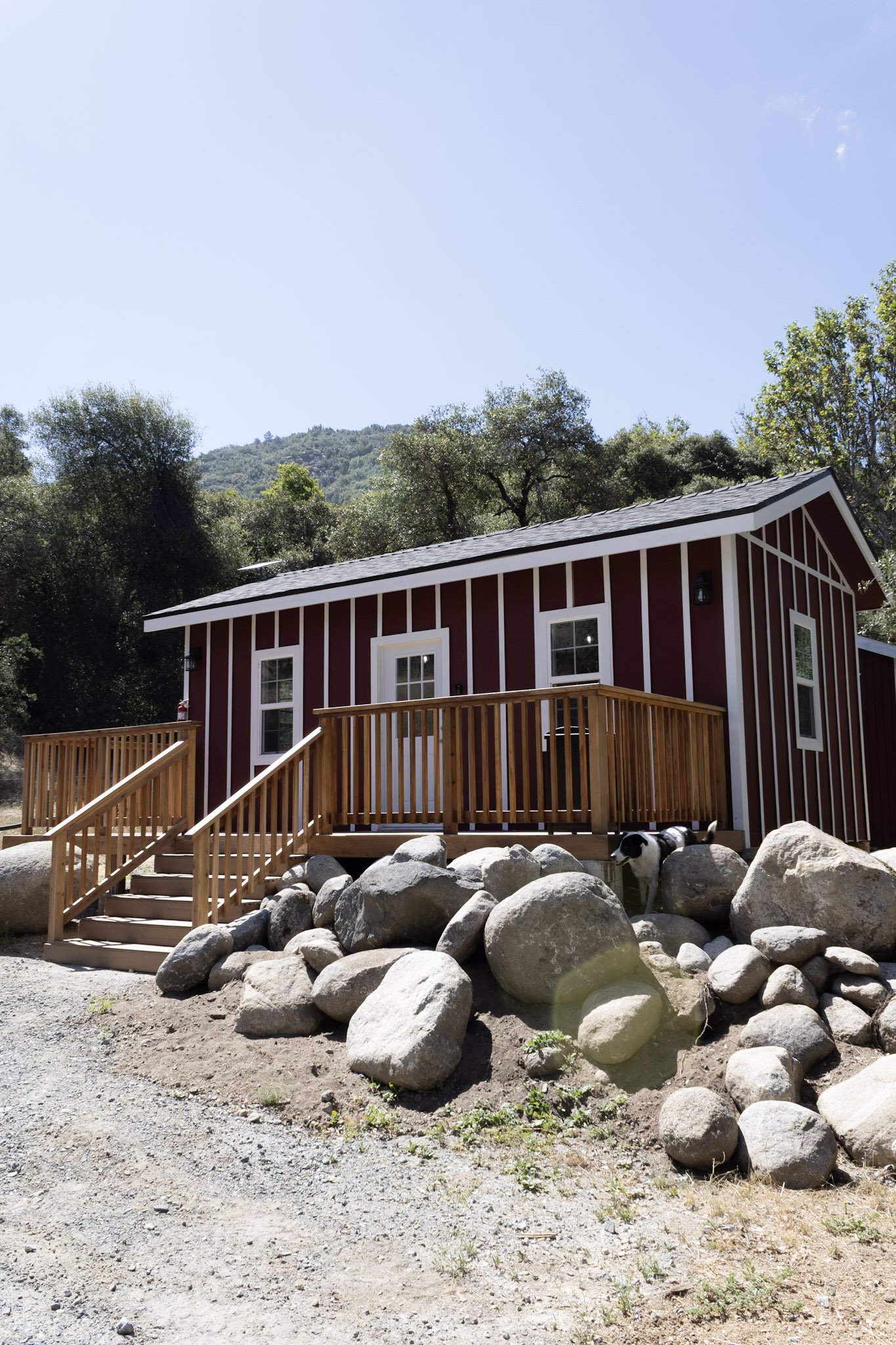 A cozy red cabin at Baxter Ranch surrounded by trees and natural rock formations, with a wooden deck, mountain setting, and a ranch dog enjoying the outdoor surroundings.
