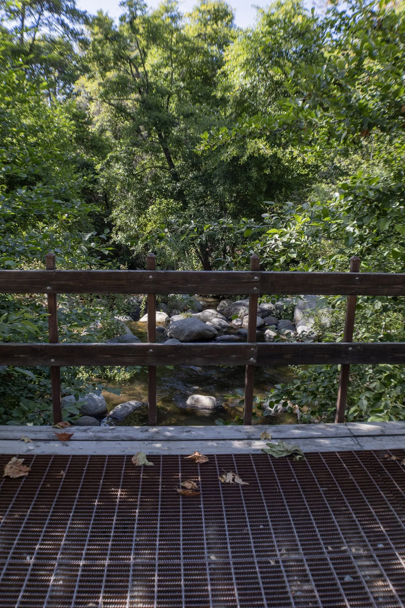 Wooden bridge crossing a rocky creek at Baxter Ranch, surrounded by lush forest, moss-covered rocks, and peaceful mountain scenery.