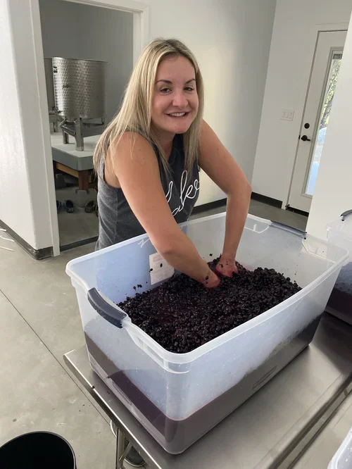 A glimpse into the winemaking process at Baxter Ranch, where freshly harvested grapes are transformed through traditional methods and seasonal farm-to-table traditions.