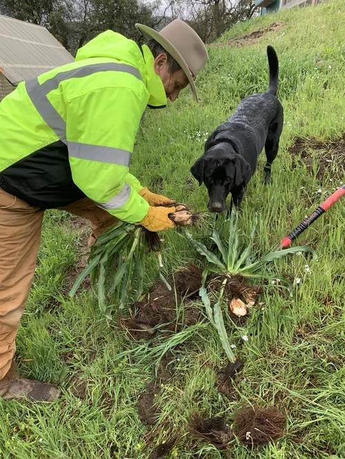 Sustainable ranch living at Baxter Ranch, where planting, land stewardship, and connection with nature are part of everyday life on the mountain property.