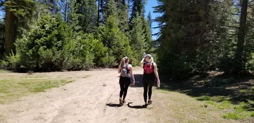 Hiking through Sequoia National Park near Baxter Ranch, where forest trails, towering trees, and lush mountain landscapes create unforgettable outdoor adventures.