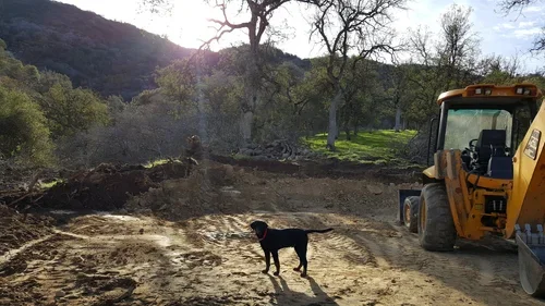 Gunner the dog overlooks the early construction of Hilltop House at Baxter Ranch, where the foundation was built among the trees and mountain landscape of the Sierra Nevada foothills.