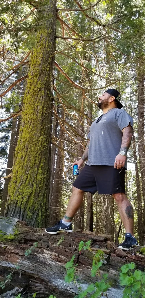 Outdoor adventure at Baxter Ranch, where guests explore wooded trails, fallen trees, and the natural beauty of the Sierra Nevada foothill landscape.